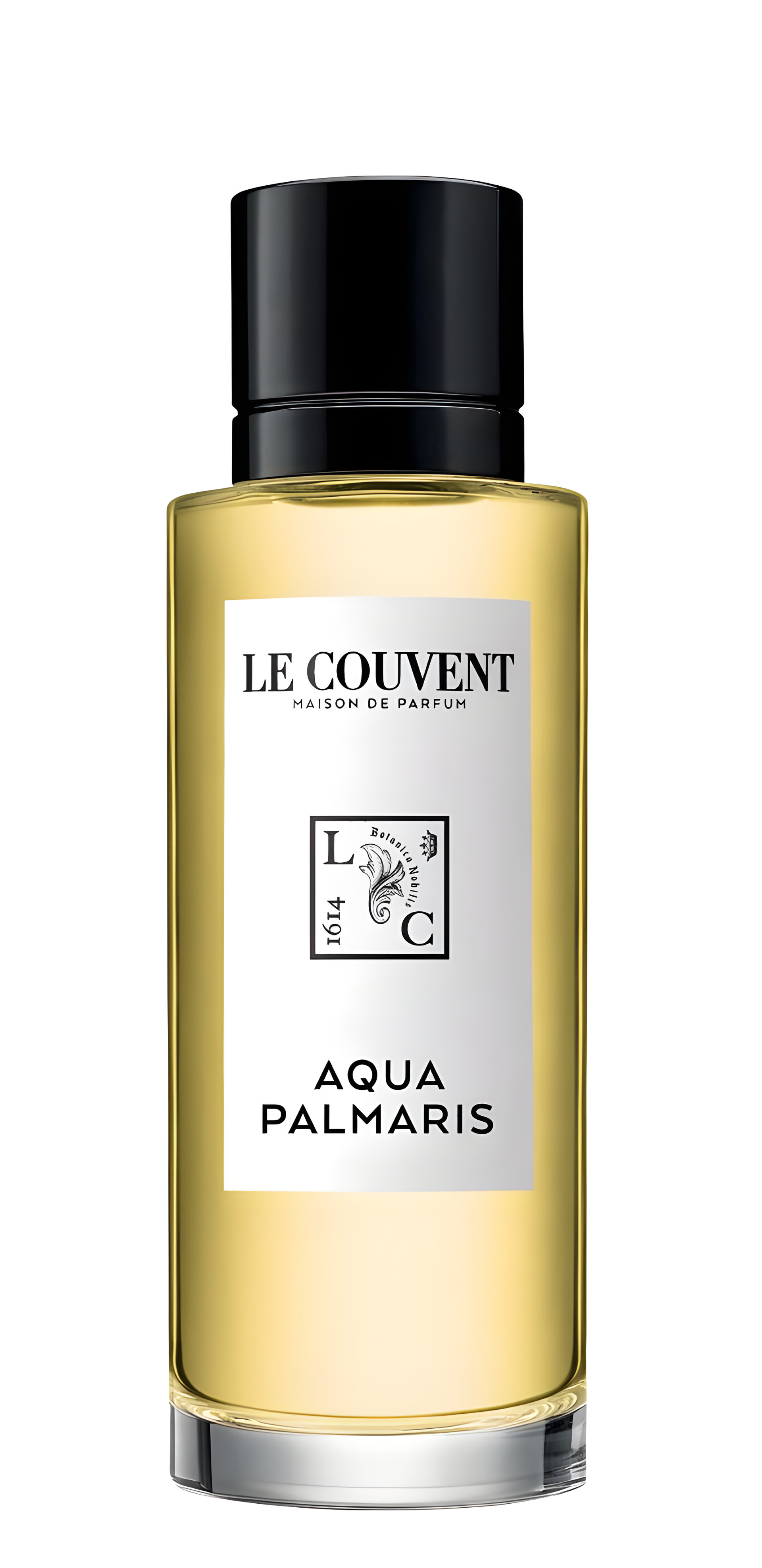 Picture of Aqua Palmaris fragrance