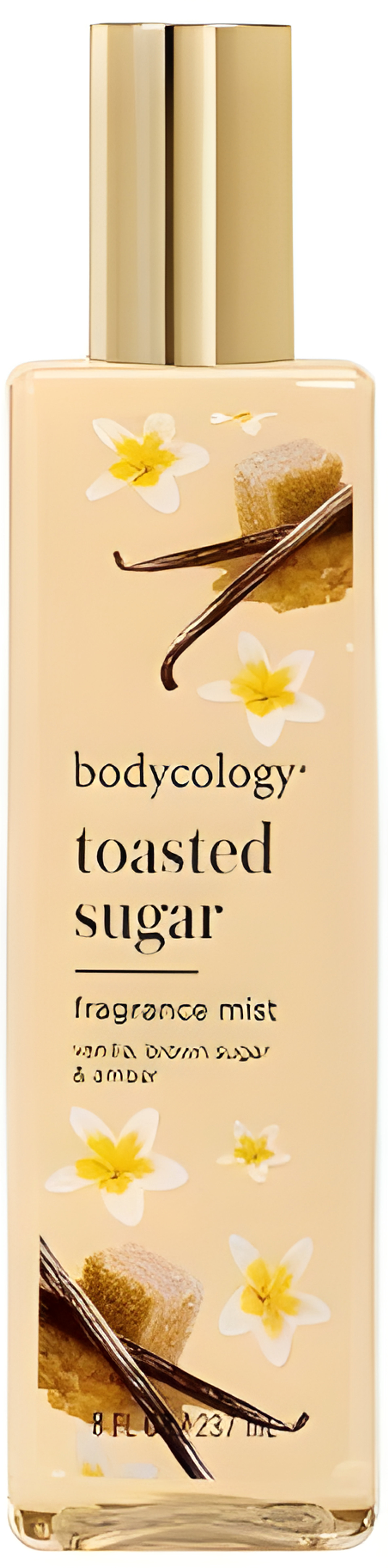 Picture of Toasted Sugar fragrance