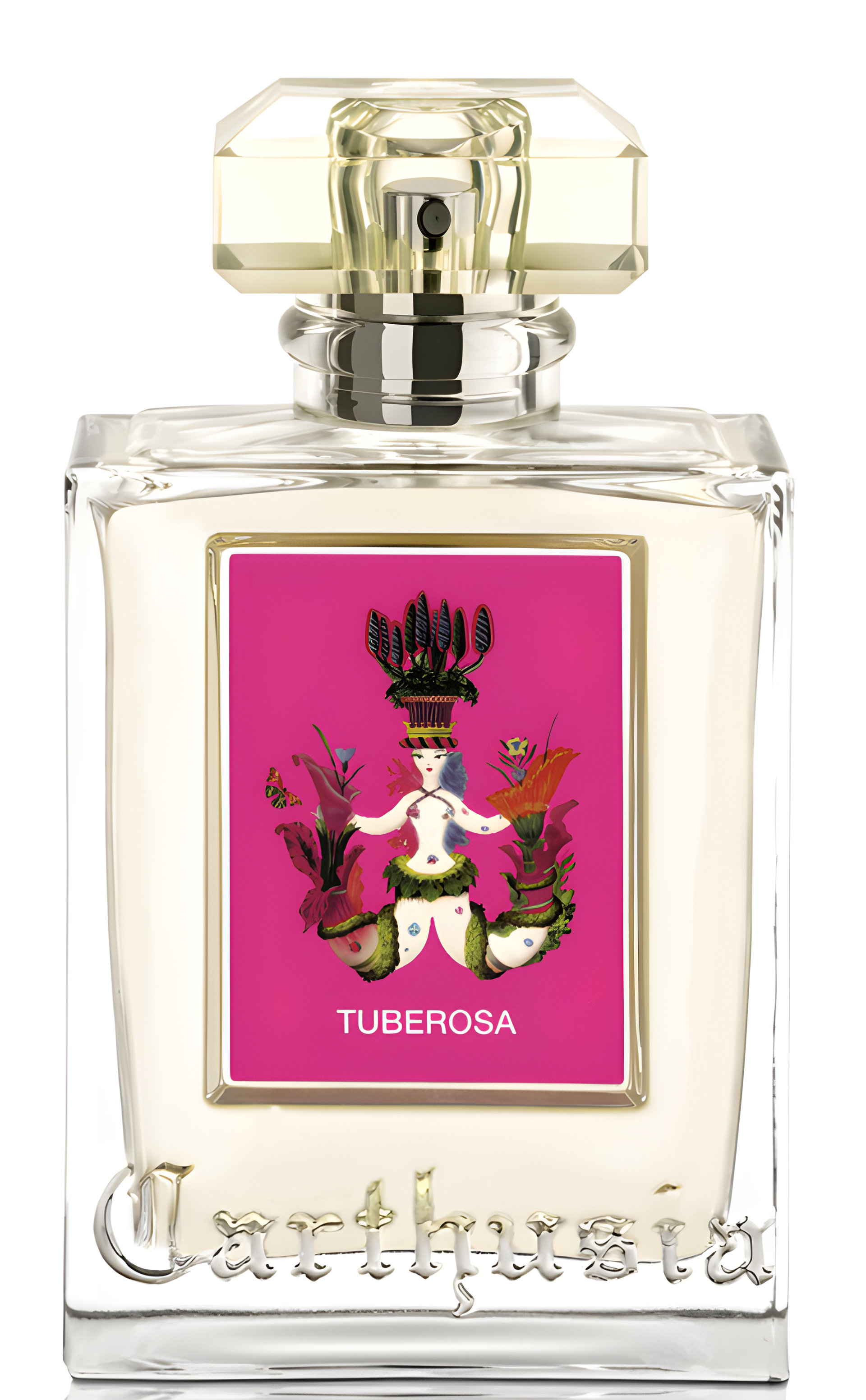 Picture of Tuberosa fragrance