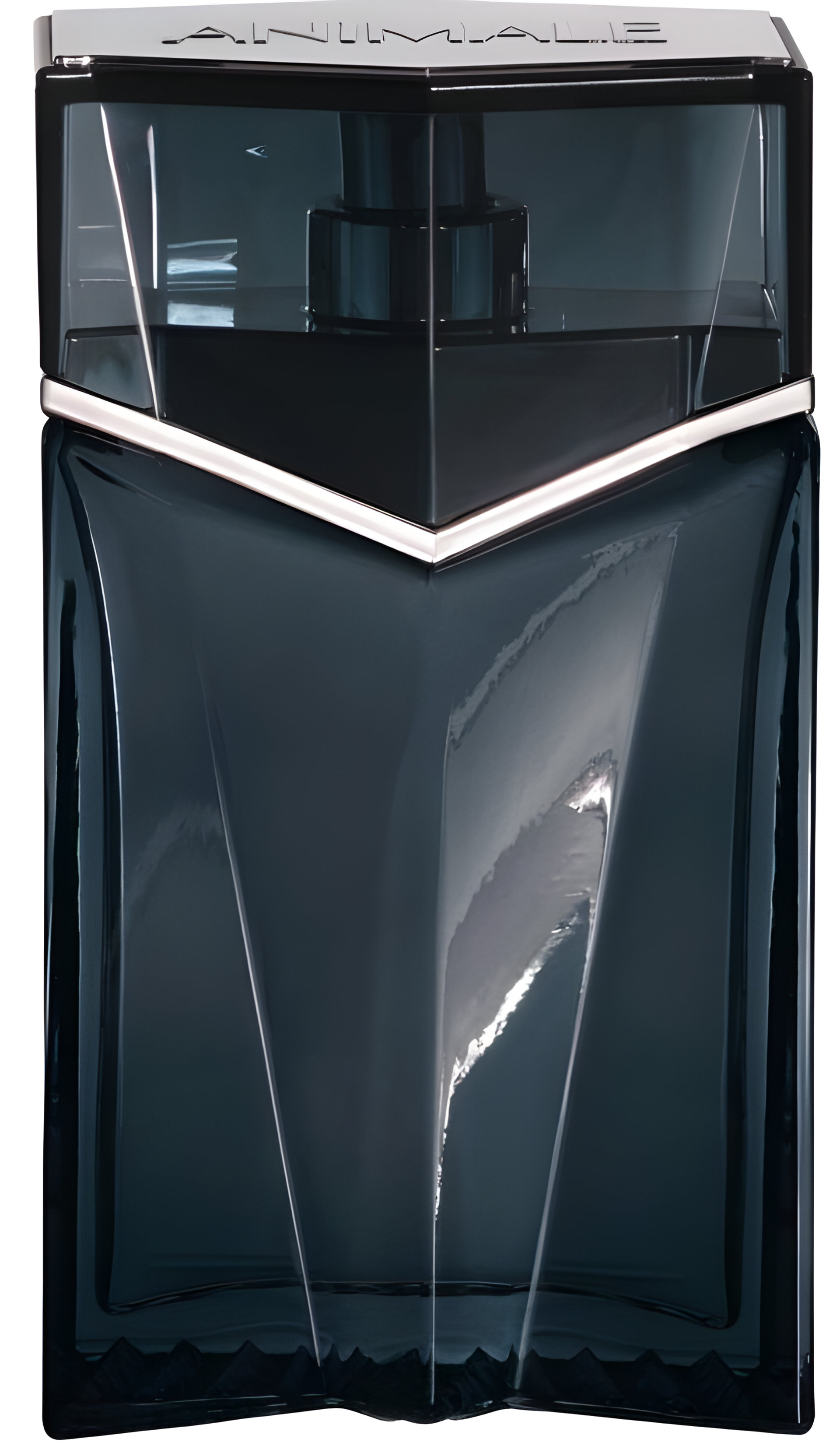 Picture of Animale Instinct Homme fragrance