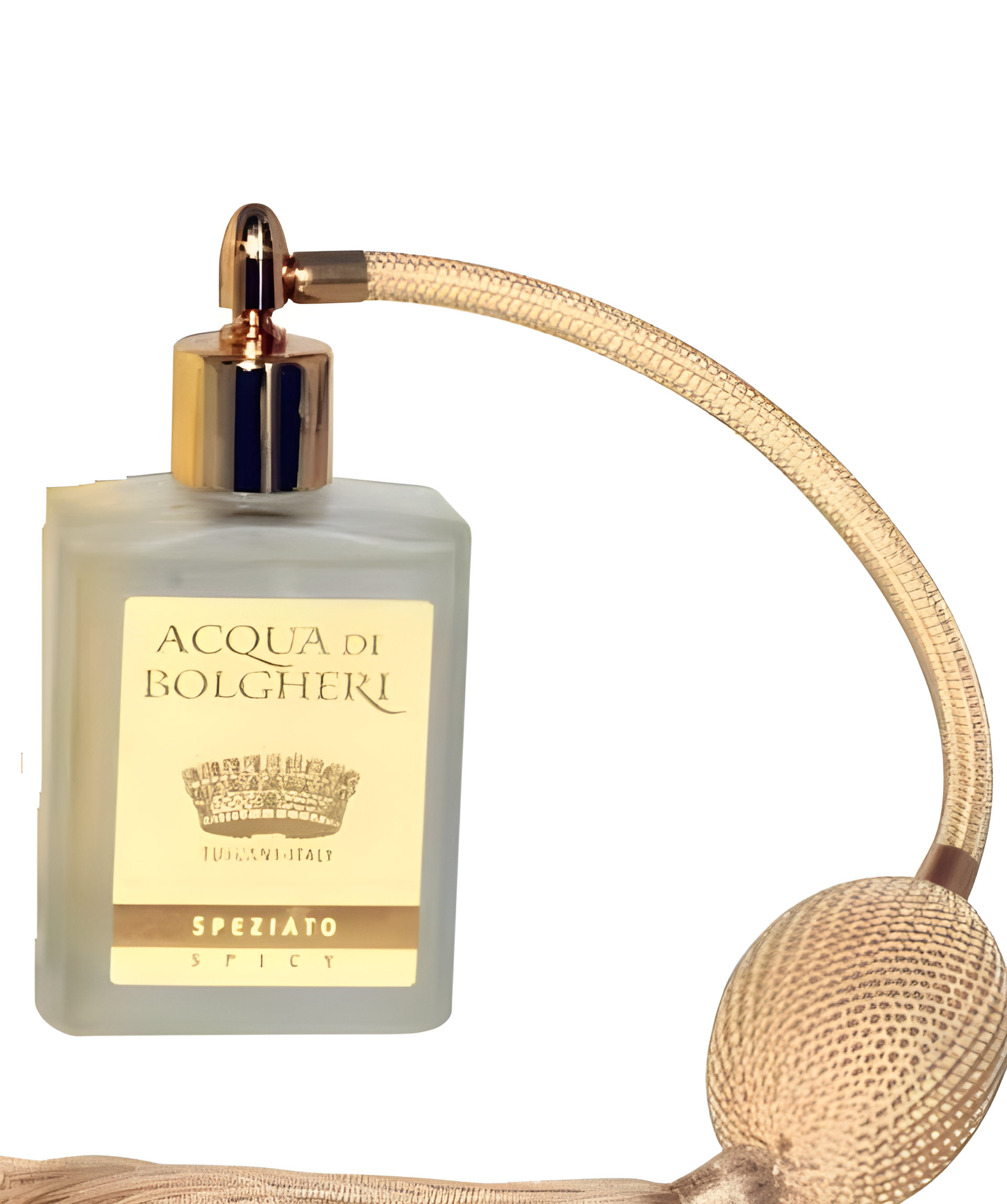 Picture of Speziato fragrance