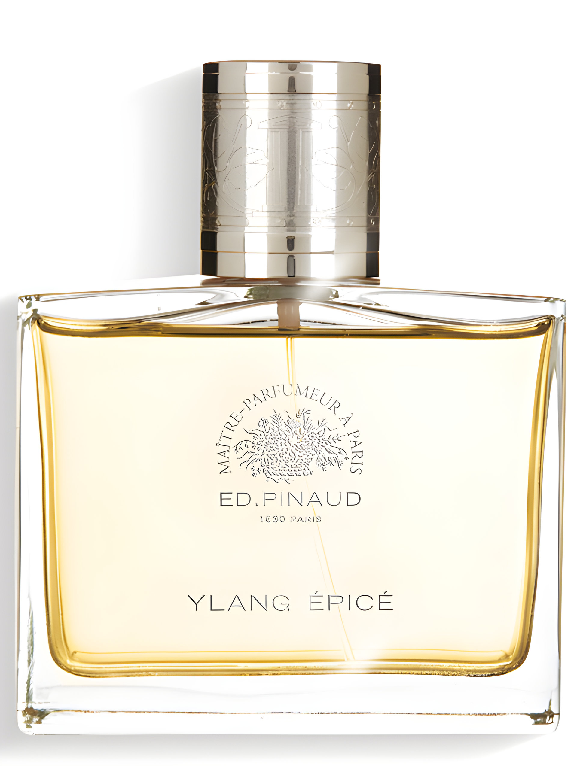 Picture of Ylang Épice fragrance