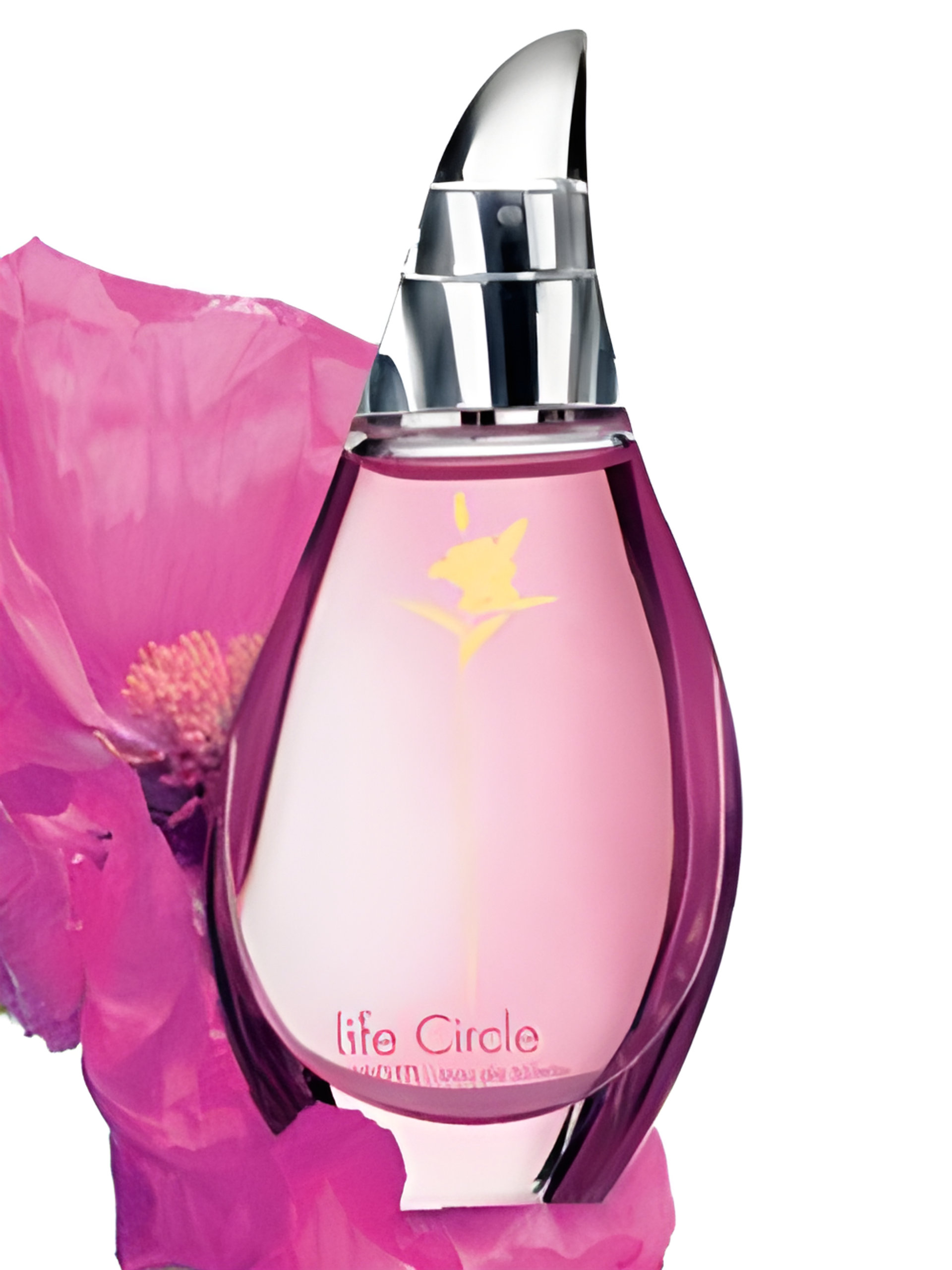Picture of Life Circle Blossom fragrance