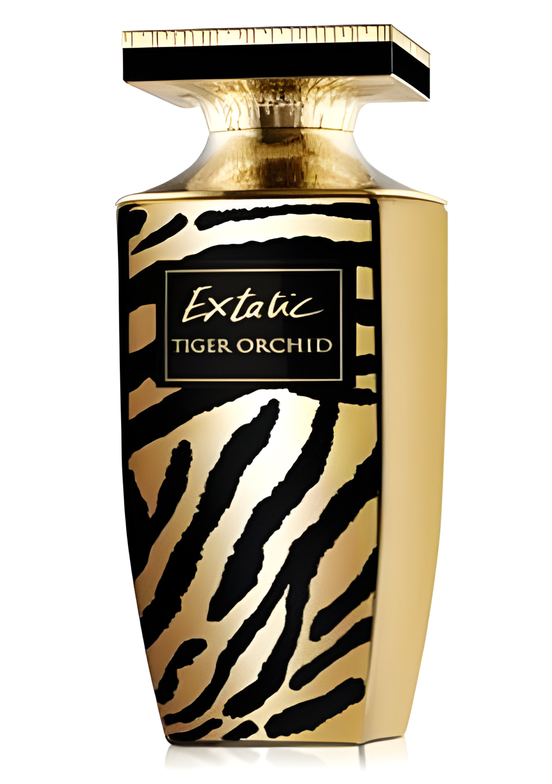 Picture of Extatic Tiger Orchid fragrance