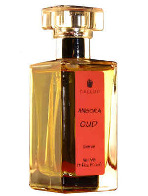 Angora Oud by Gallup Perfume perfume bottle
