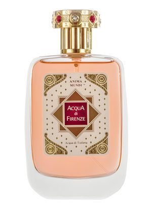 Anima Mundi by Acqua di Firenze perfume bottle