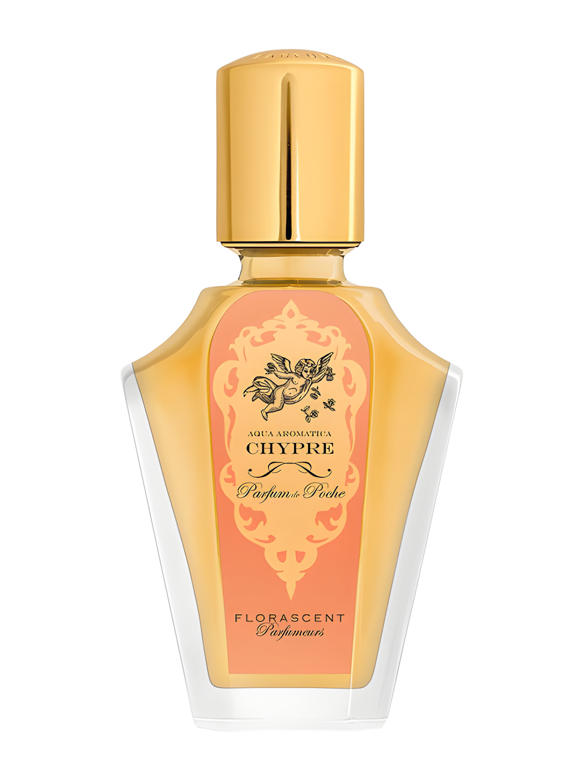 Picture of Chypre fragrance