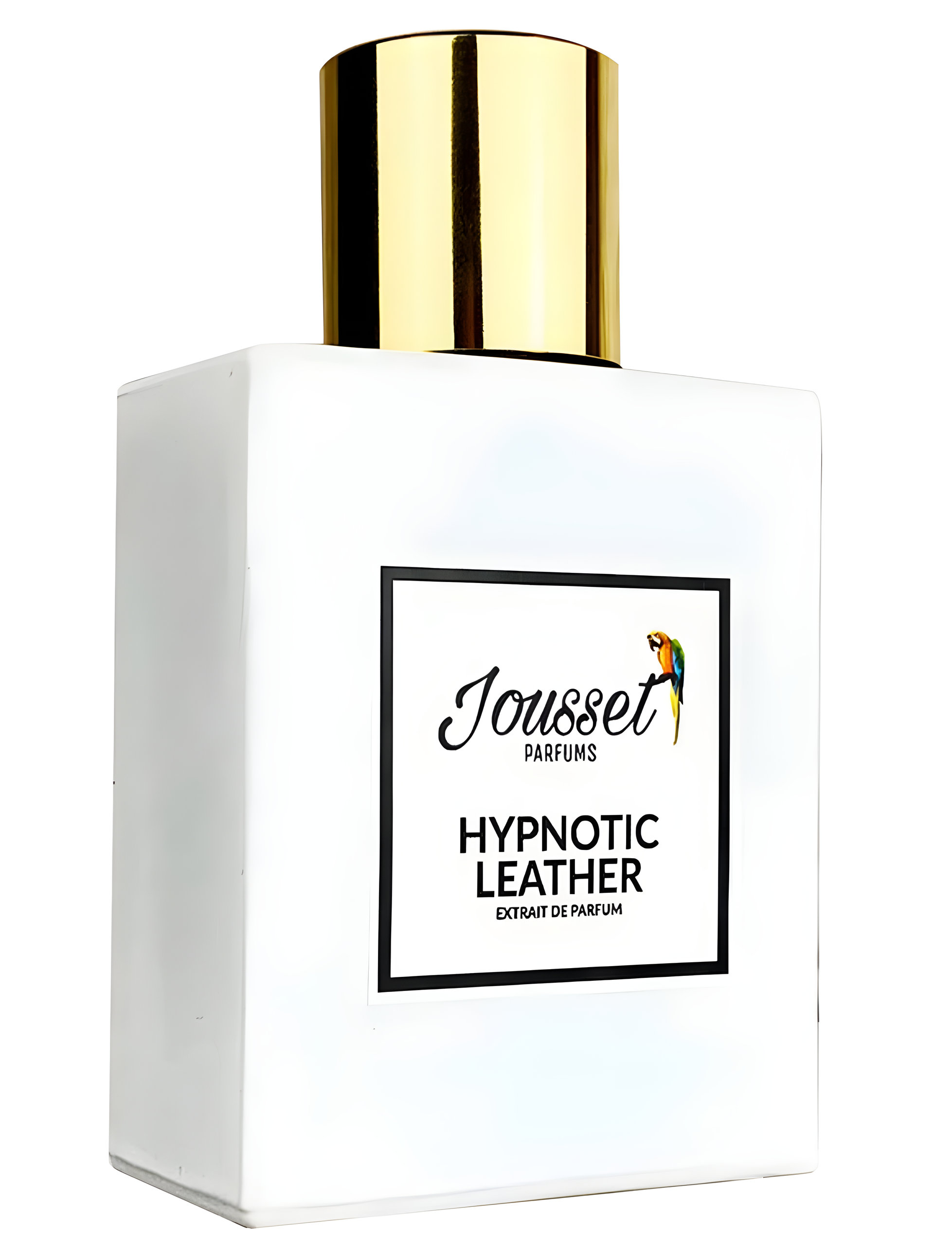 Picture of Hypnotic Leather fragrance