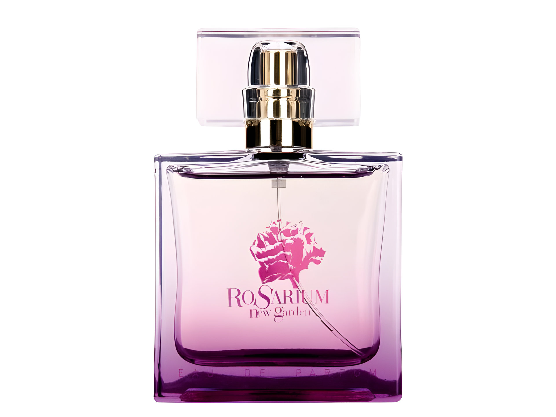 Picture of Rosarium New Garden fragrance