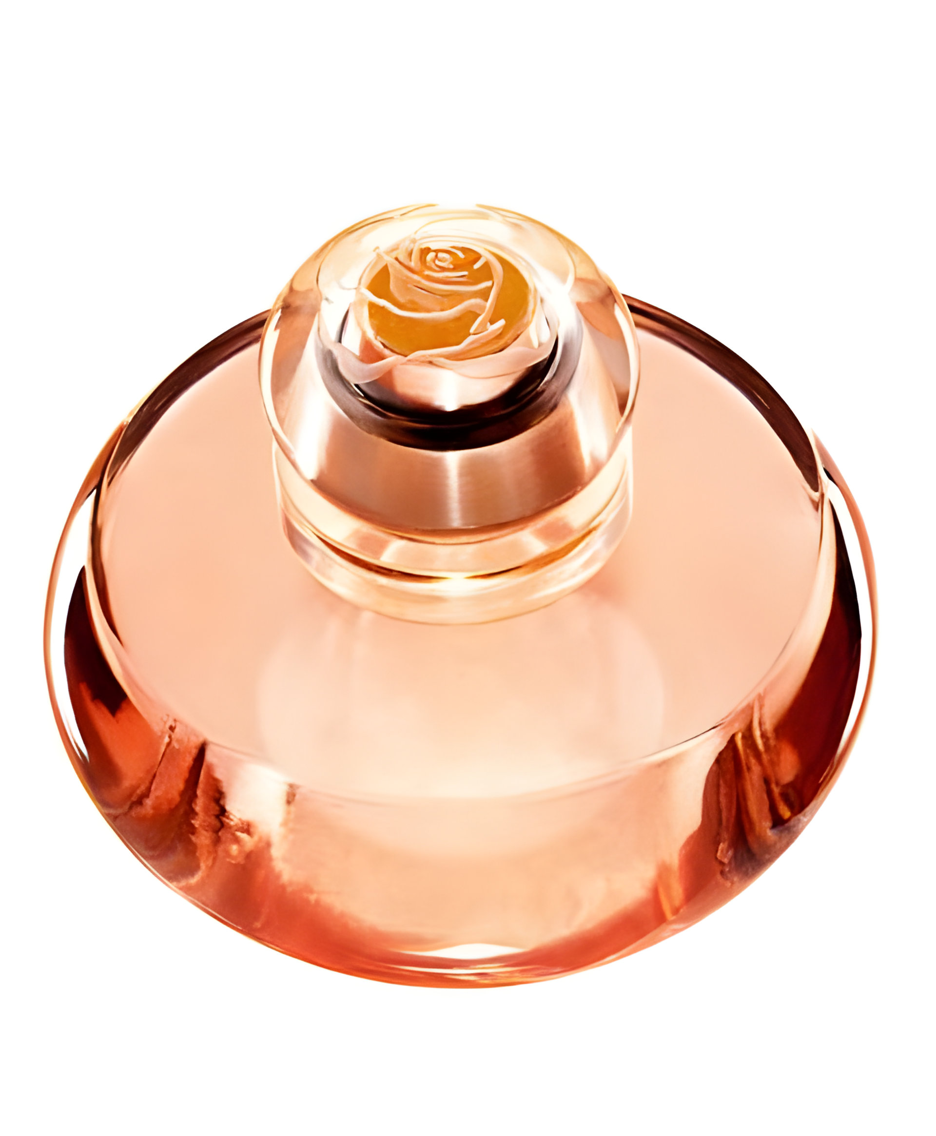 Picture of Volare fragrance
