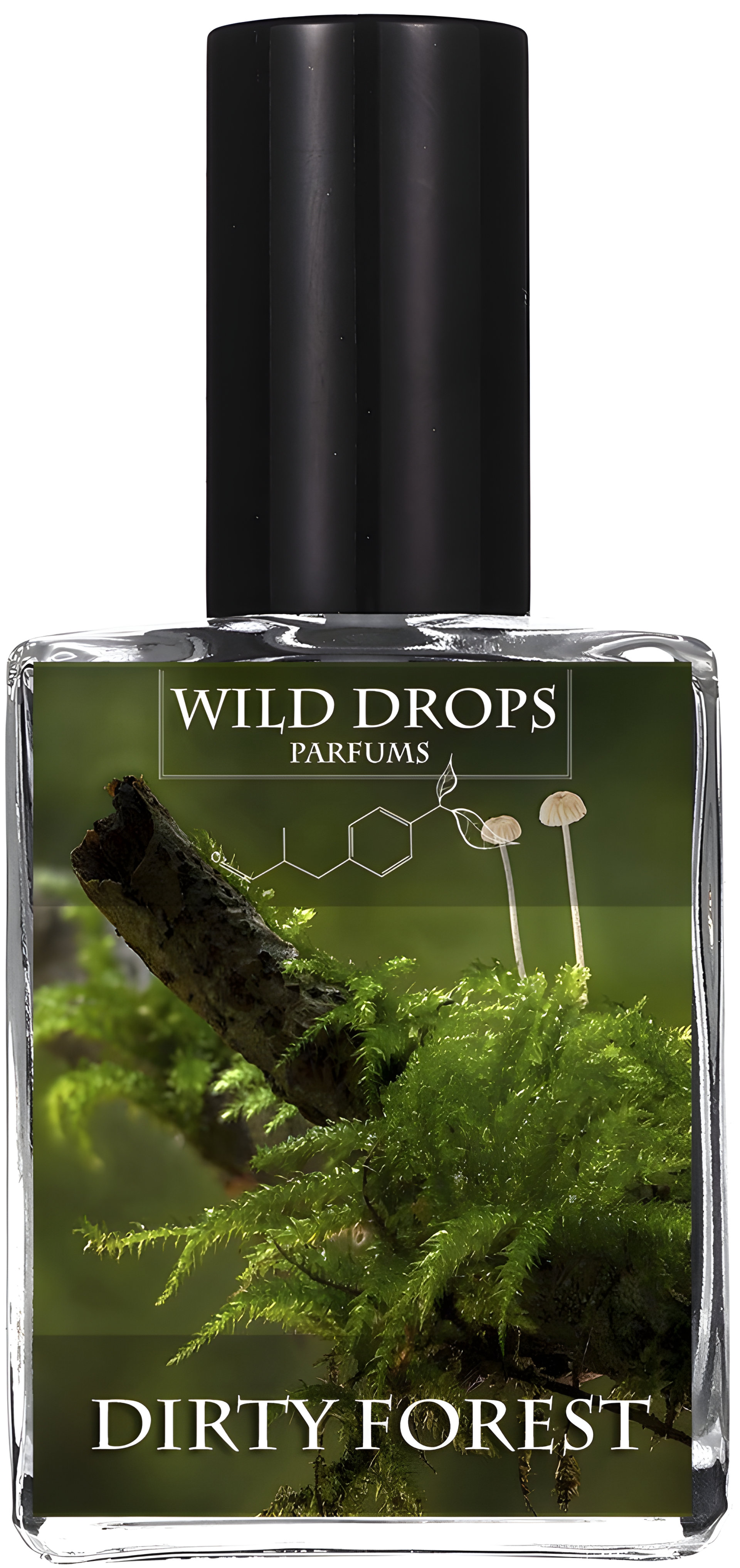 Picture of Dirty Forest fragrance
