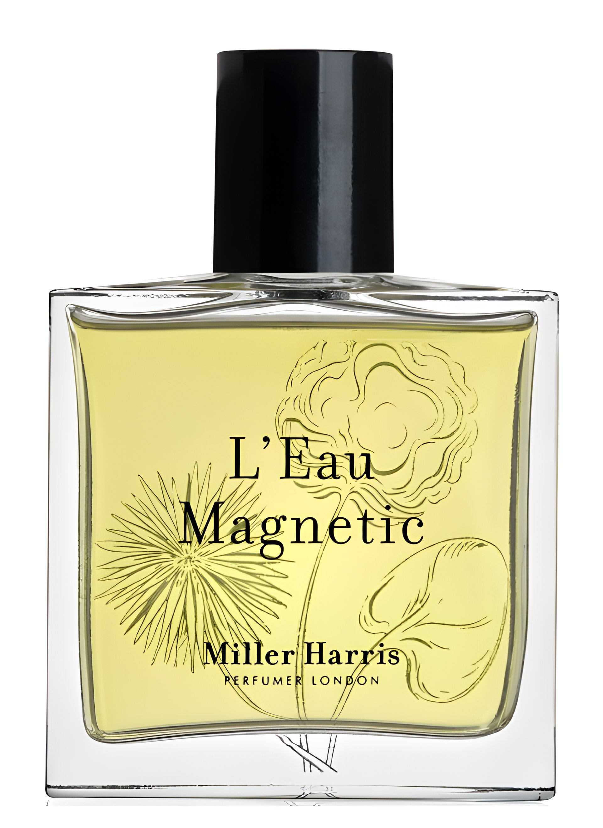 Picture of L'Eau Magnetic fragrance