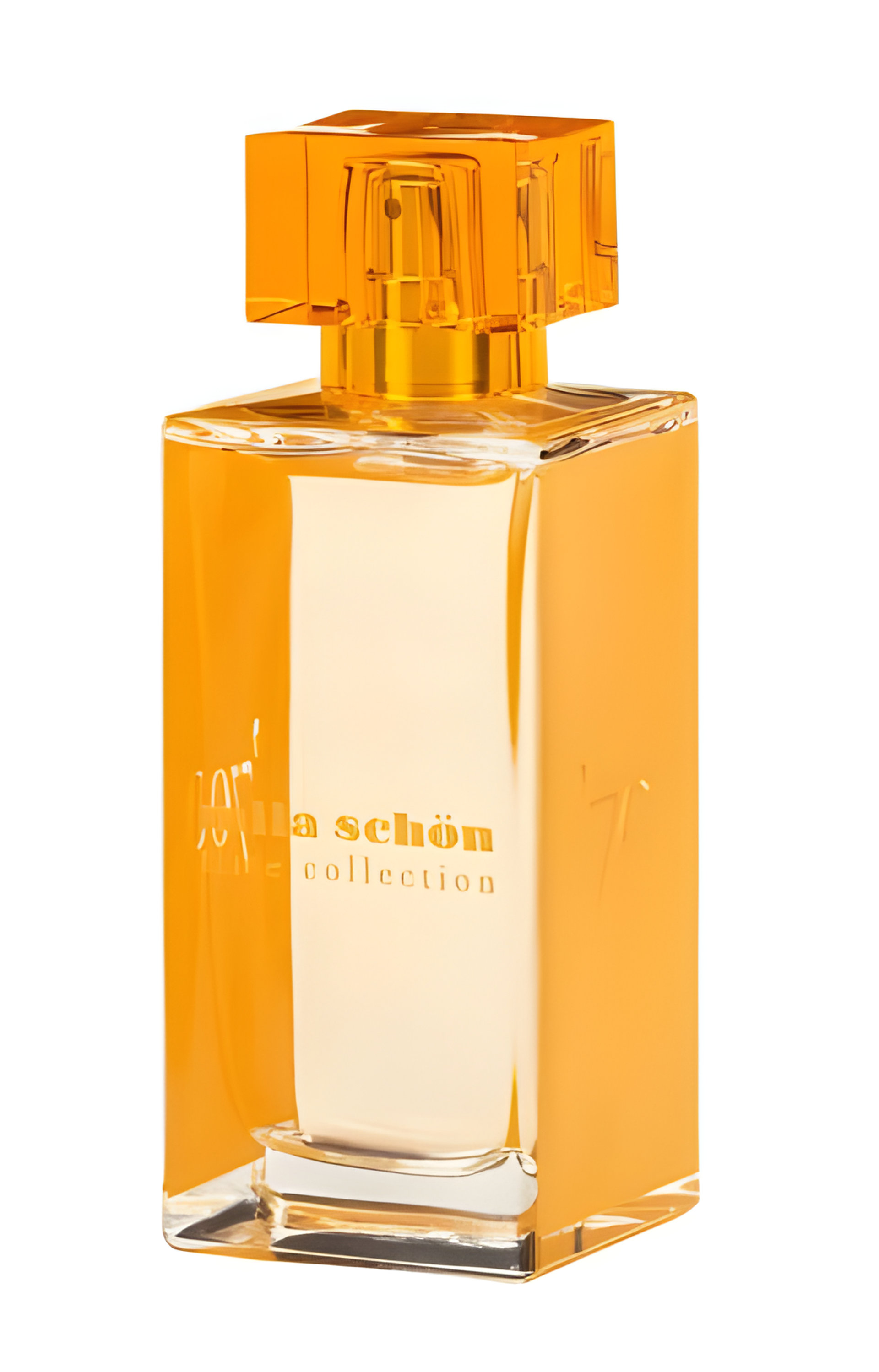 Picture of '70 fragrance