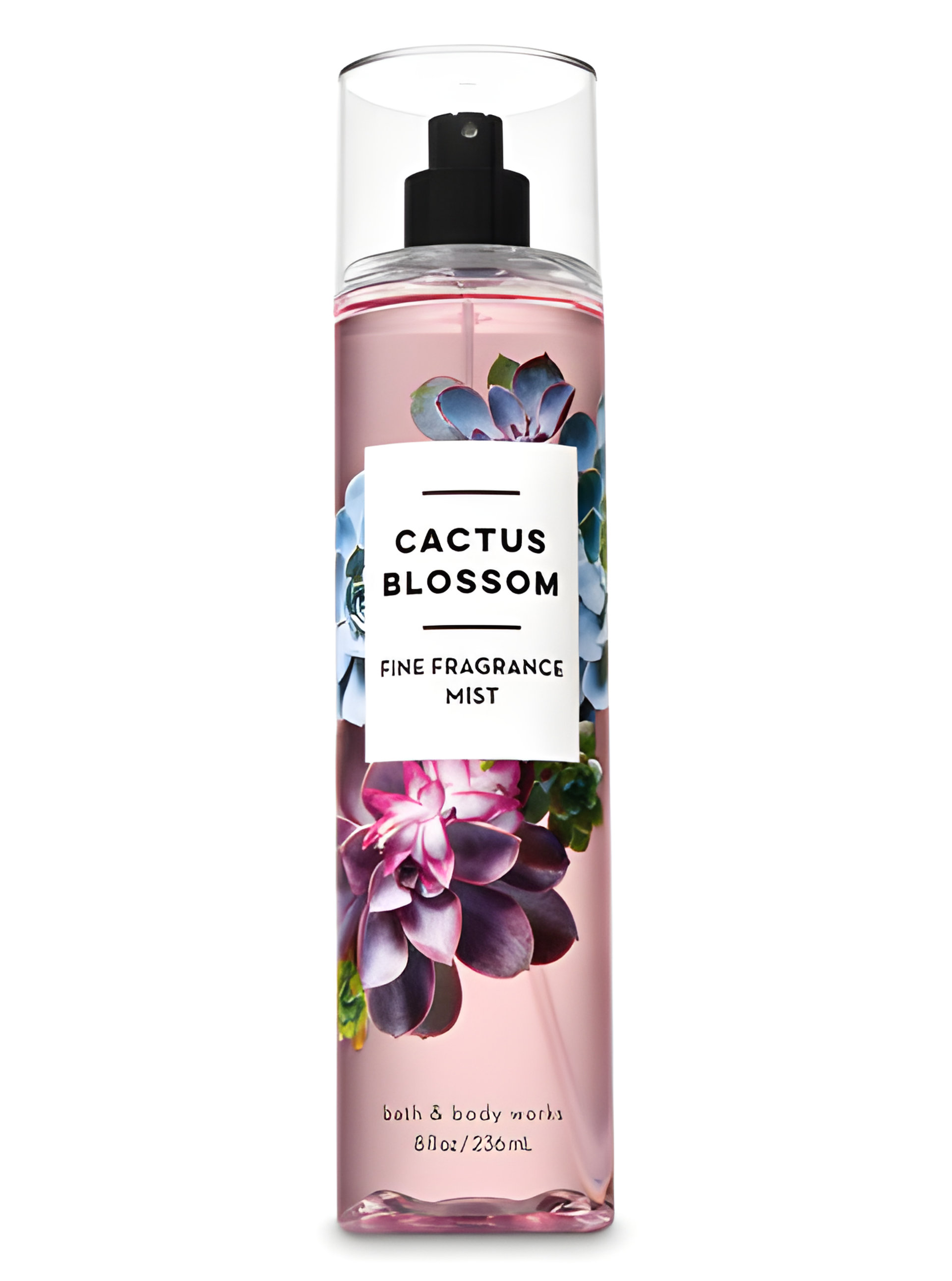 Picture of Cactus Blossom fragrance