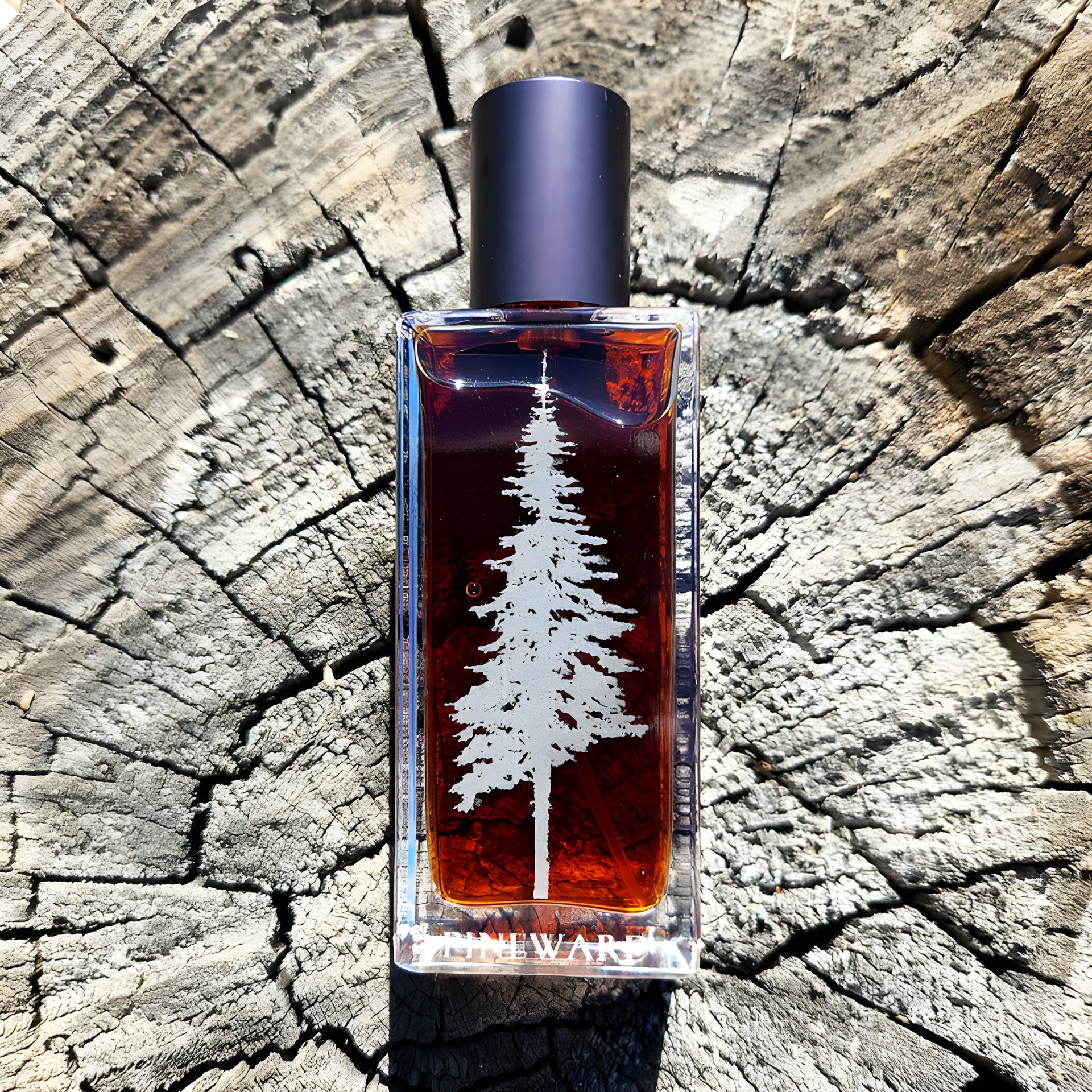 Picture of Ponderosa fragrance