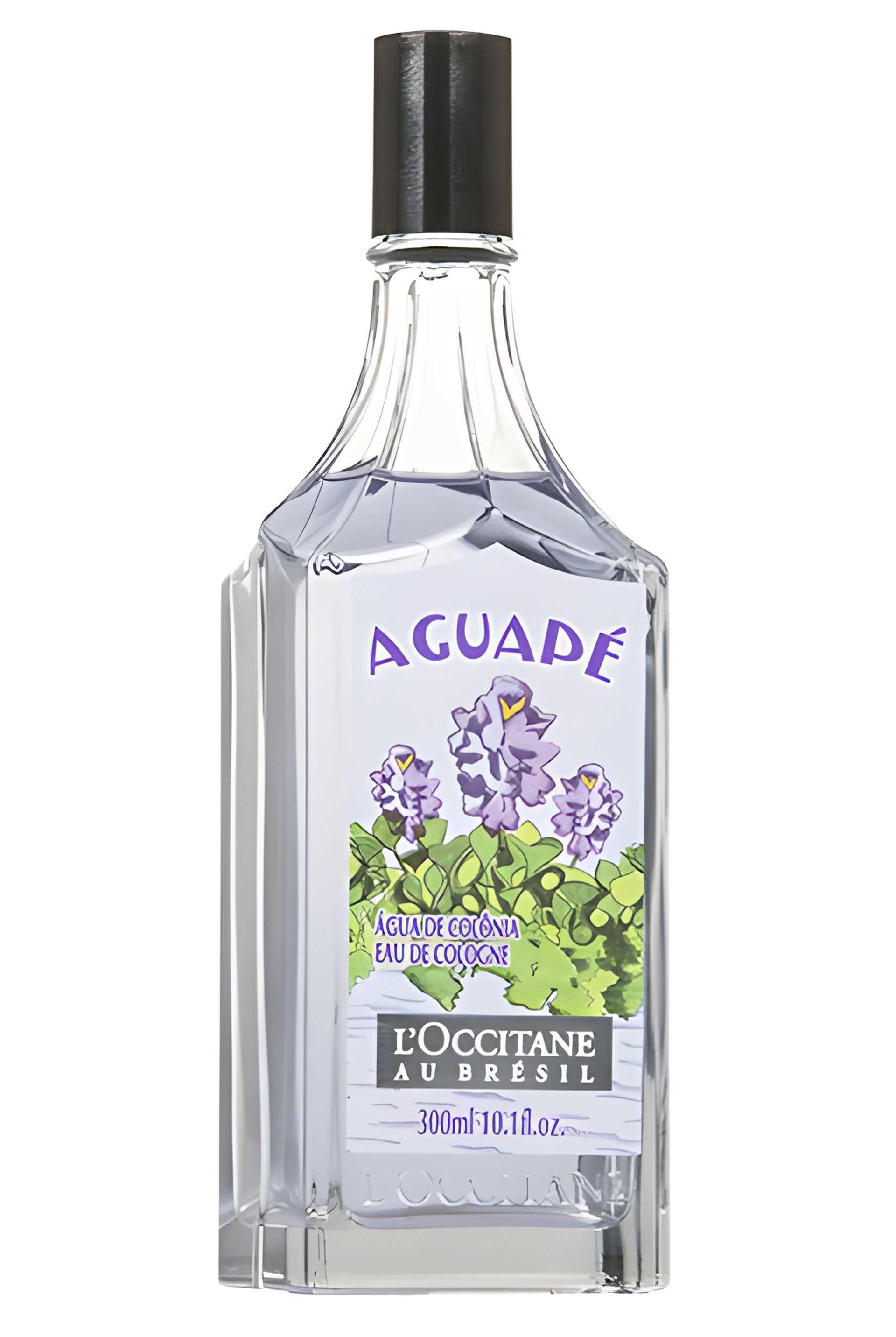 Picture of Aguapé fragrance