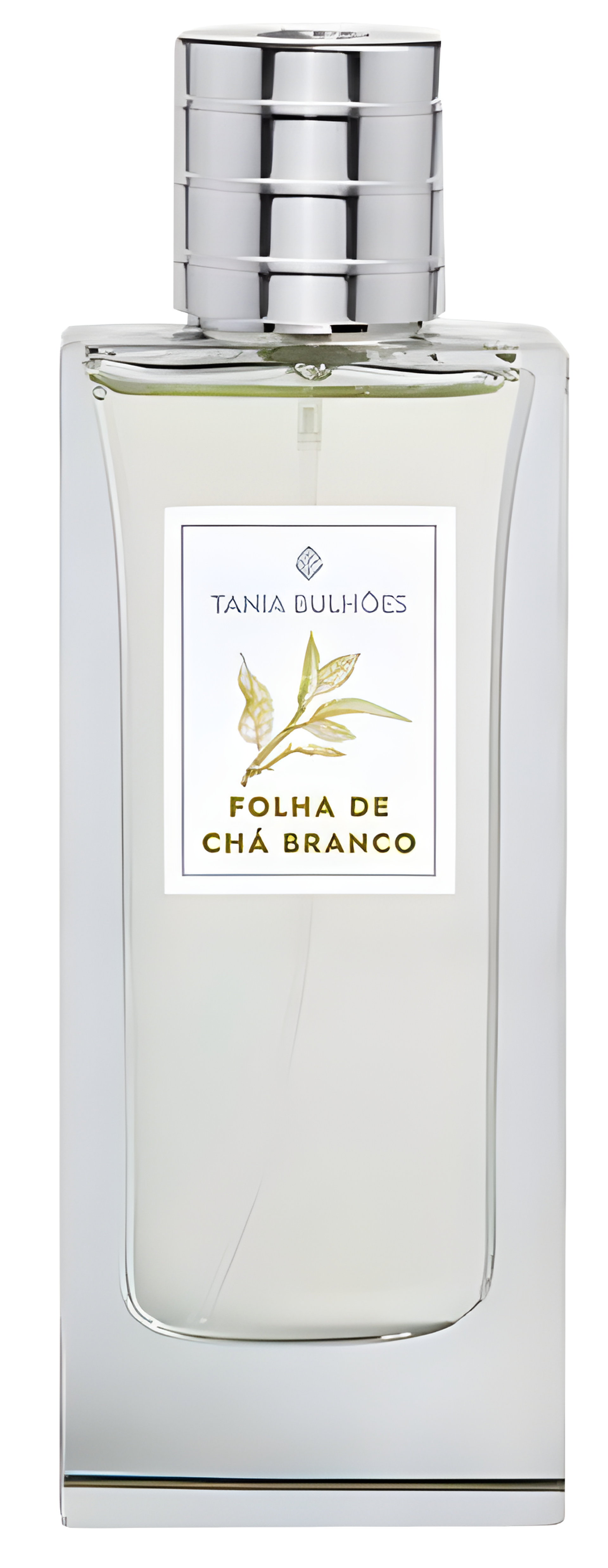 Picture of Folha de Chá Branco fragrance