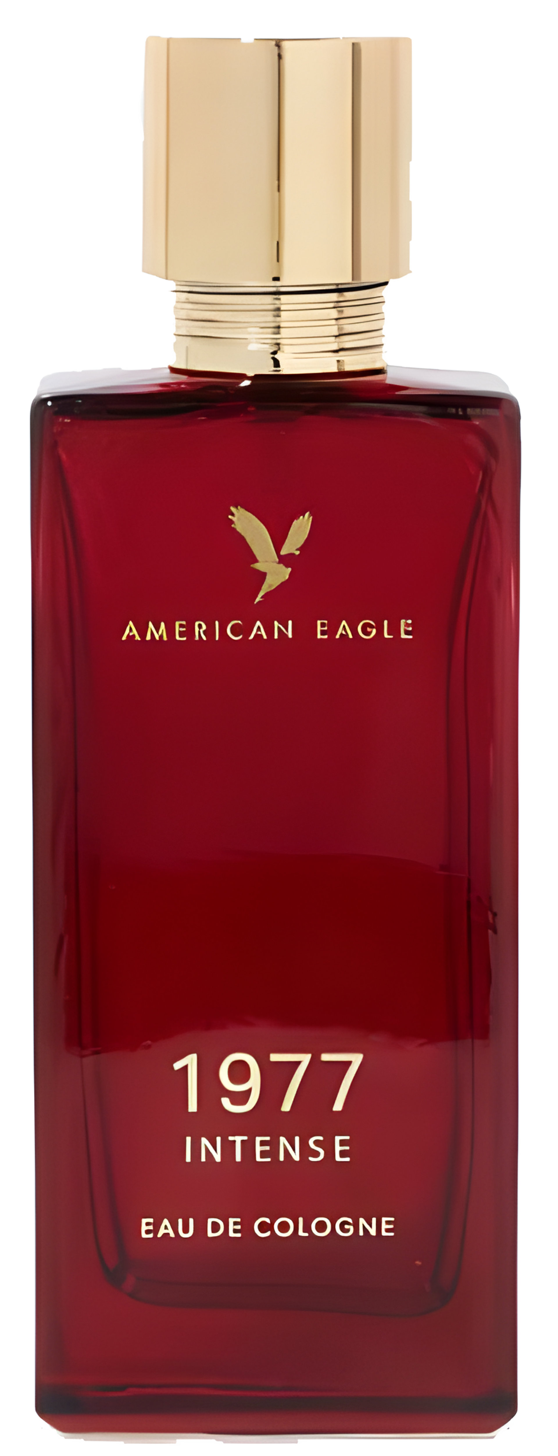 Picture of AEO 1977 Intense fragrance