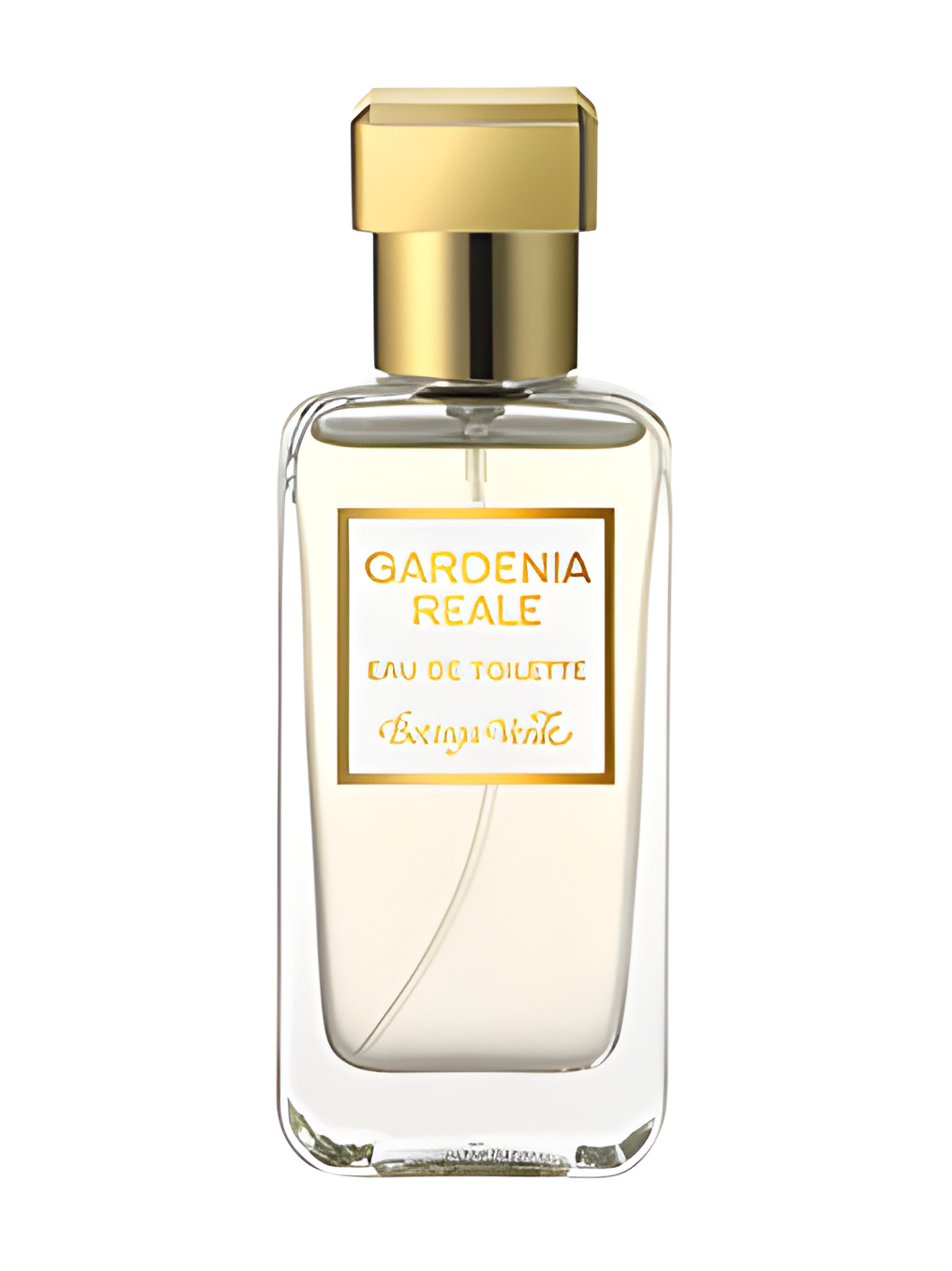 Picture of Gardenia Reale fragrance