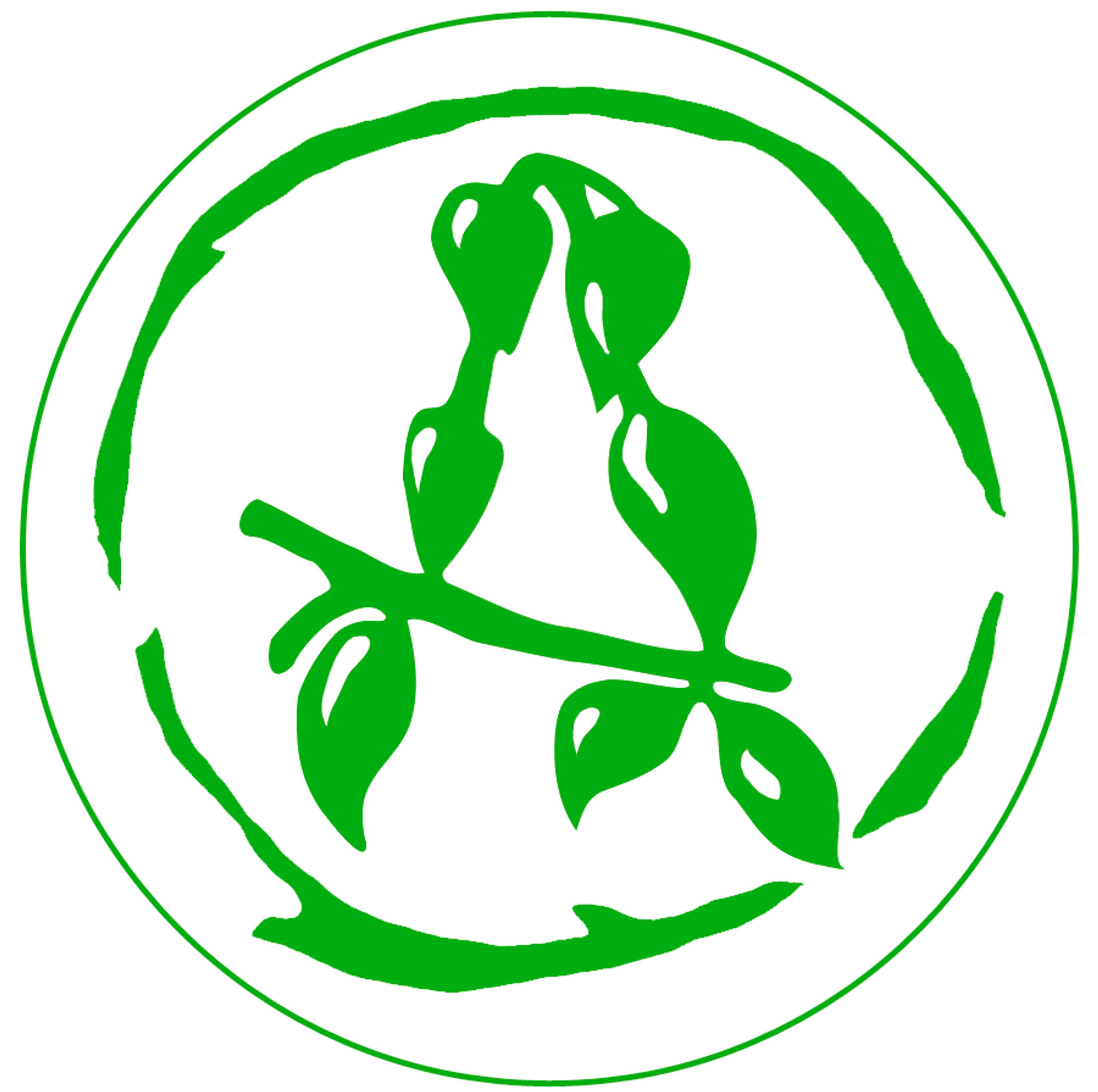 Picture of Acidica Perfumes brand