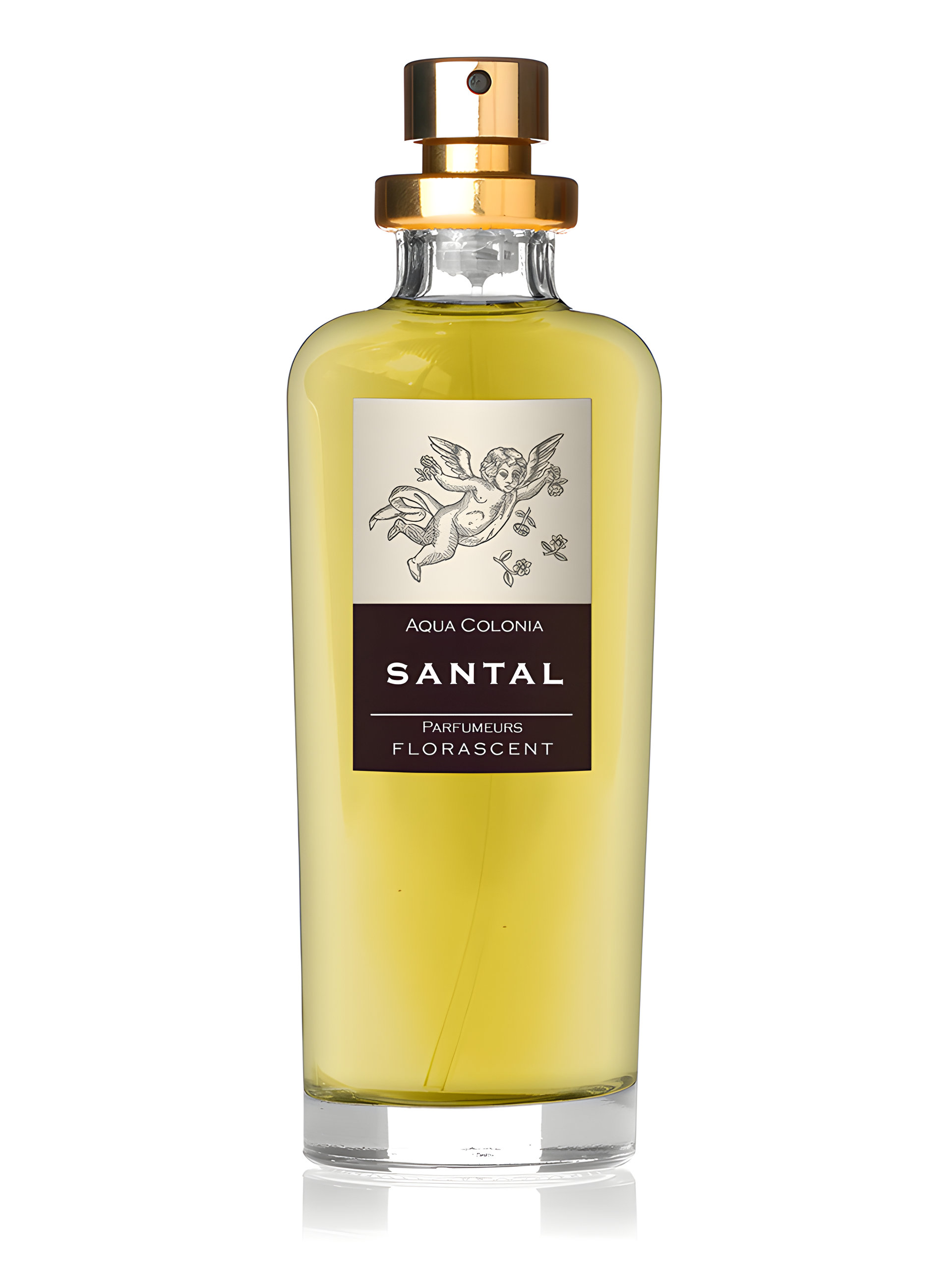 Picture of Santal fragrance