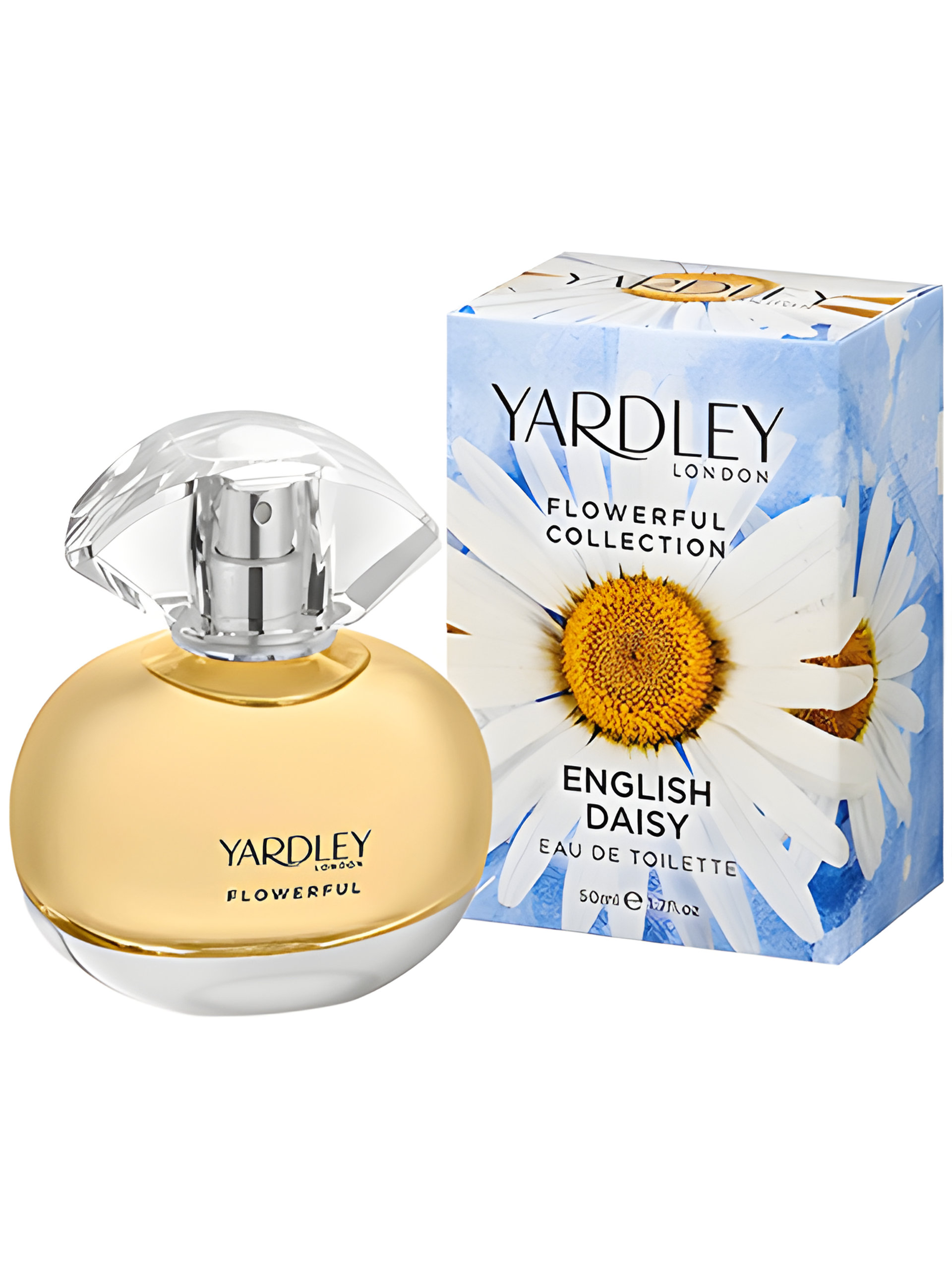 Picture of English Daisy fragrance