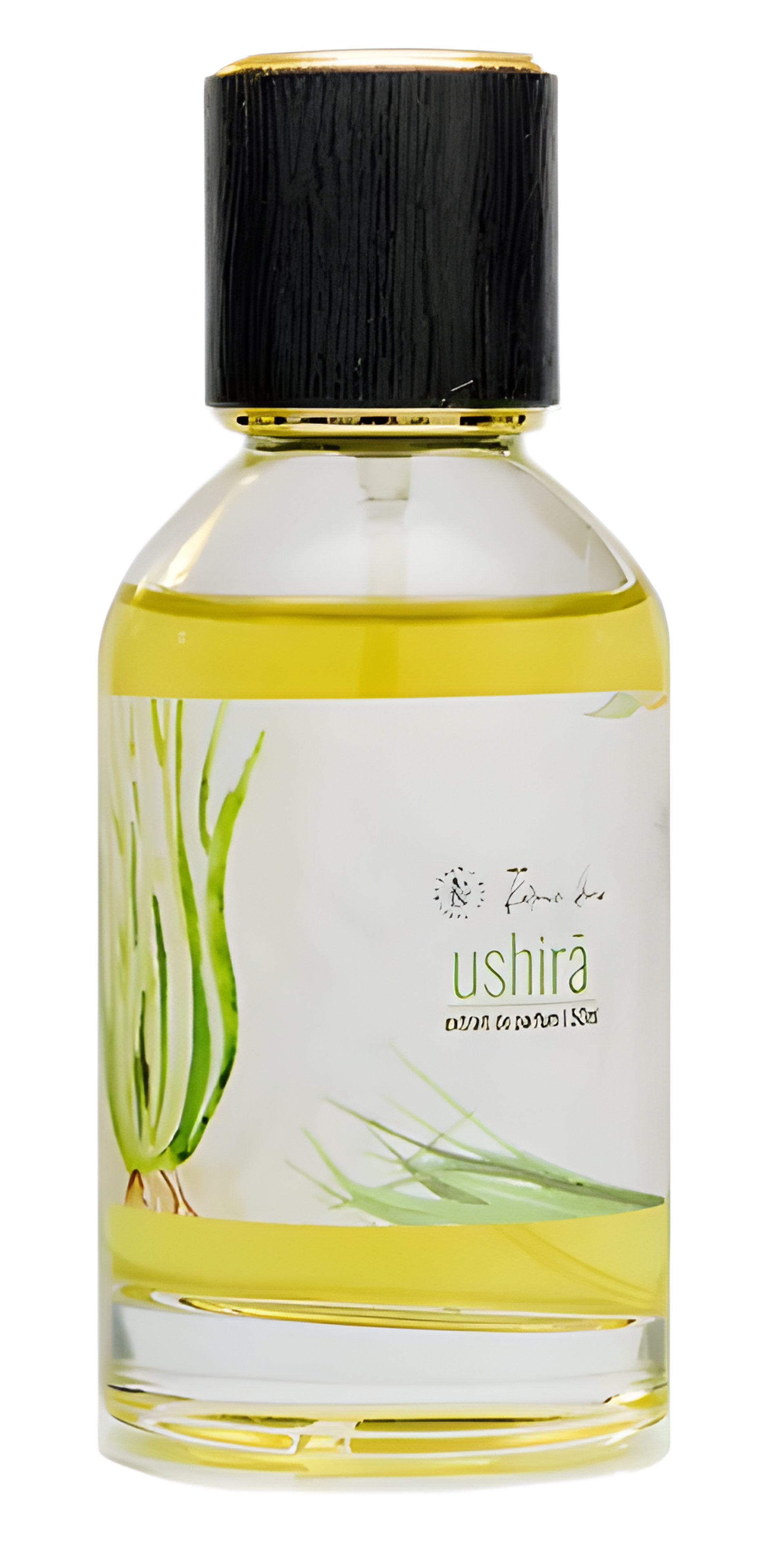 Picture of Ushirā fragrance
