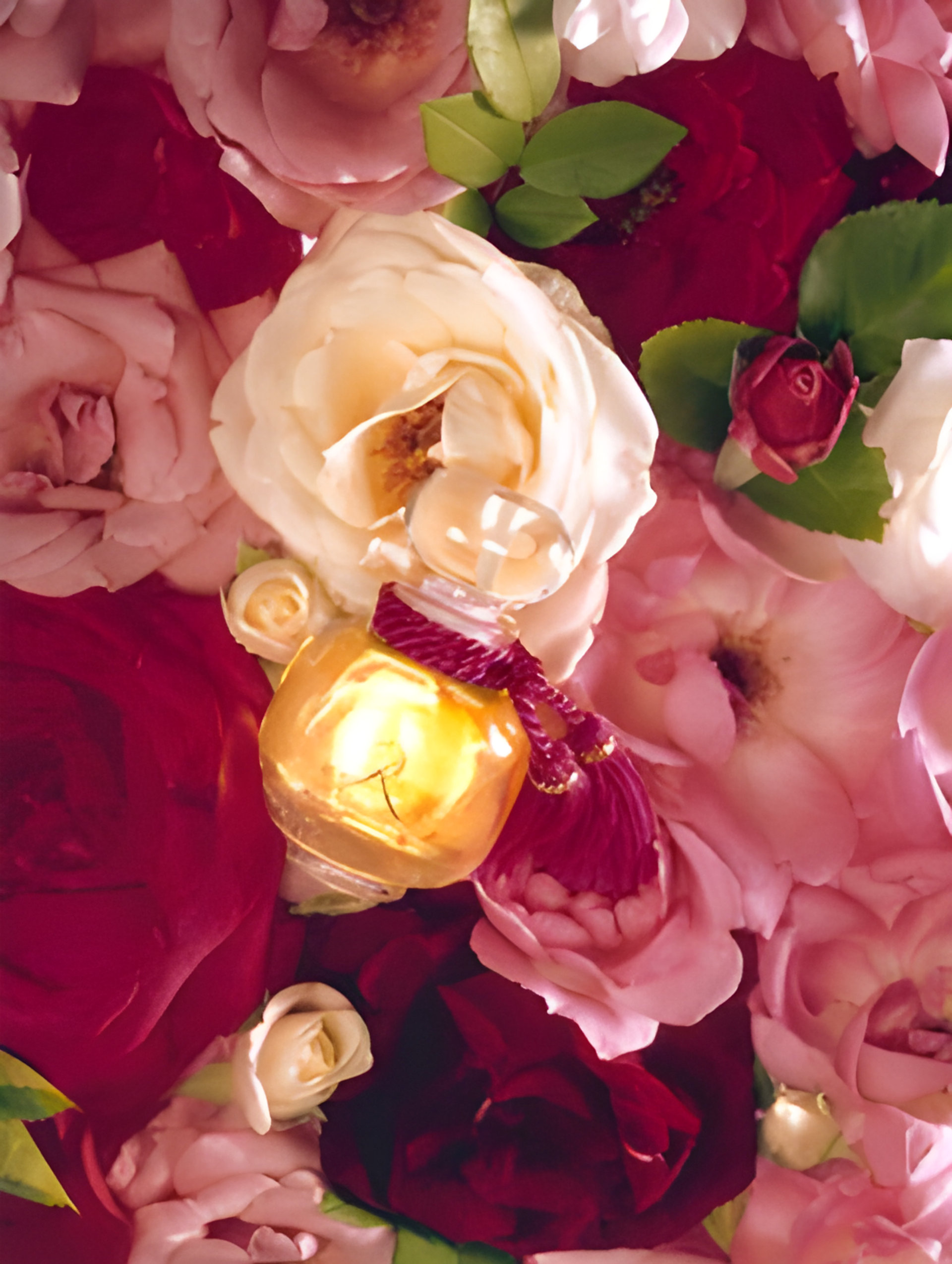 Picture of La Rose Legere fragrance