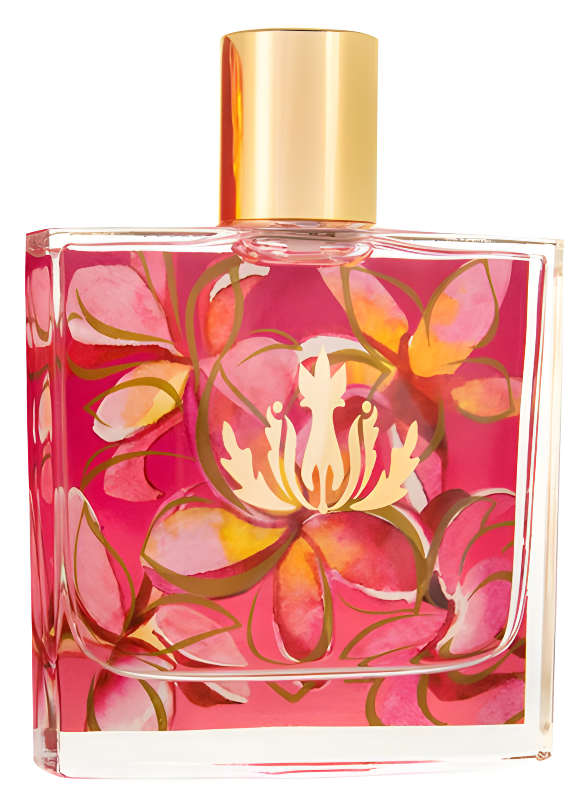 Picture of Plumeria fragrance