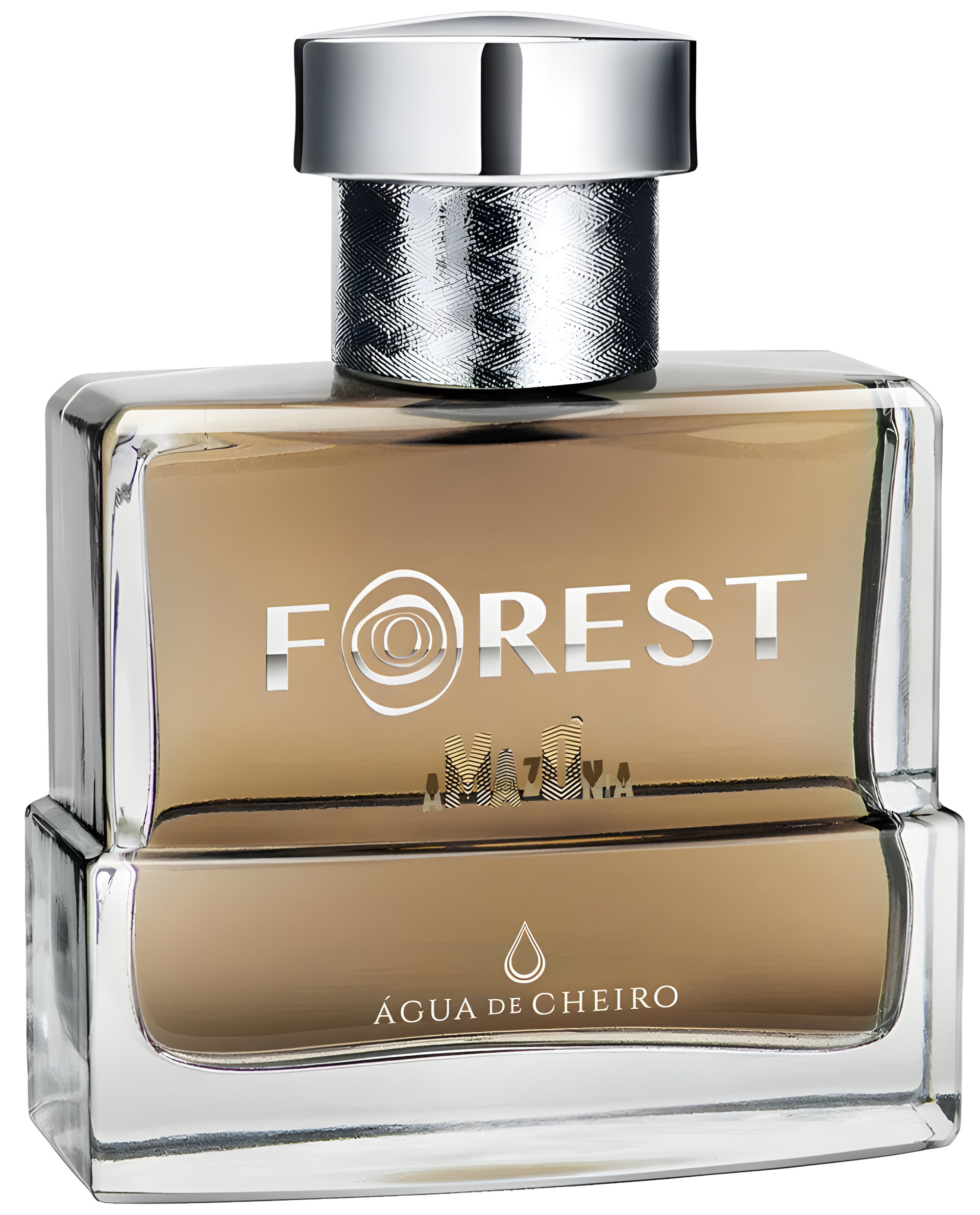 Picture of Forest Amazônia fragrance