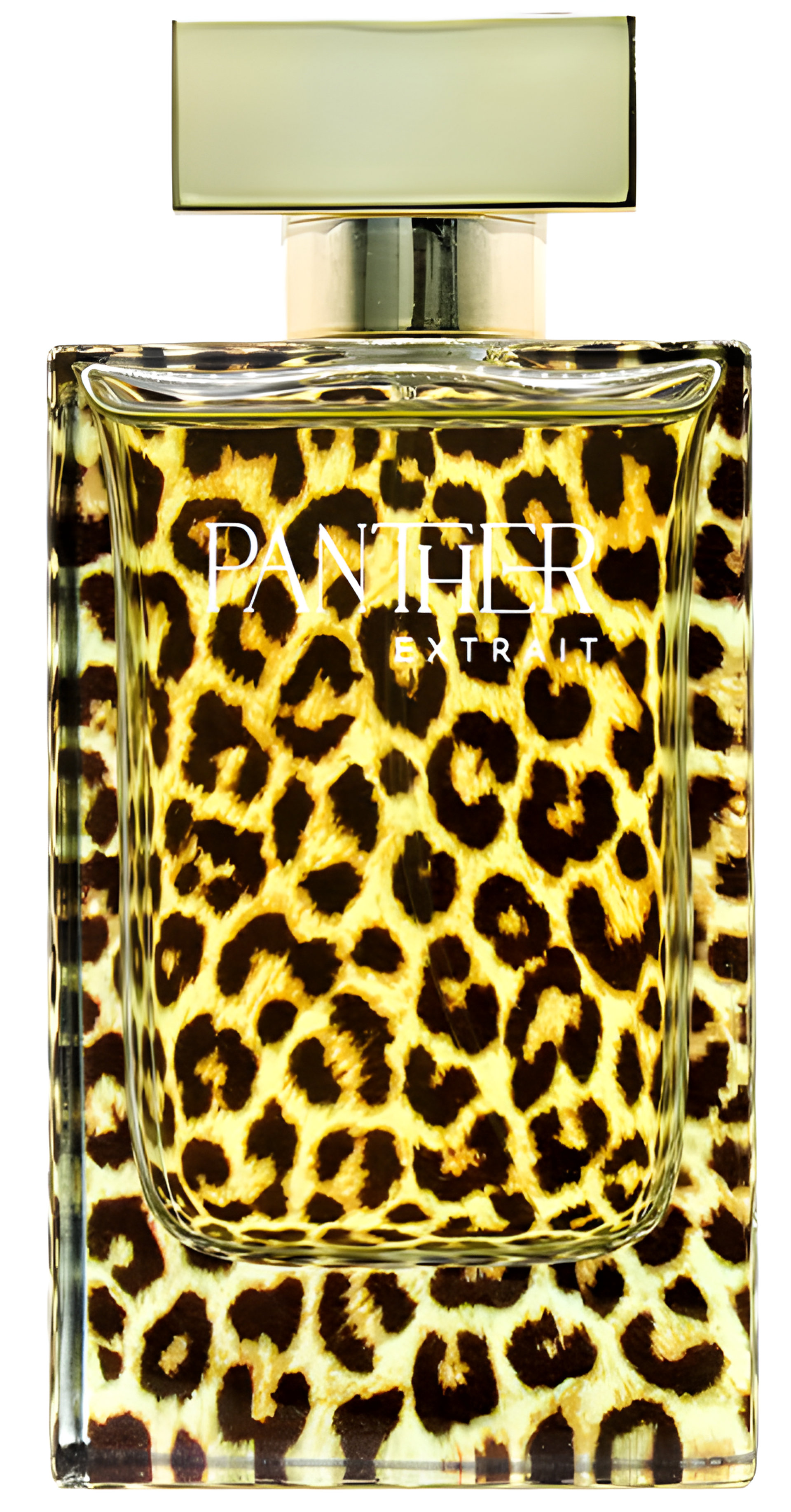 Picture of Coral Panther fragrance