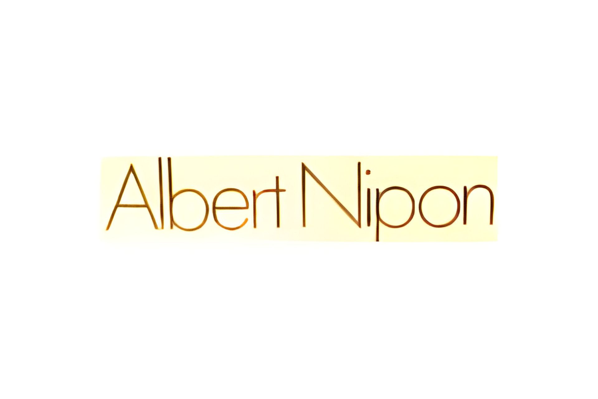 Picture of Albert Nipon brand