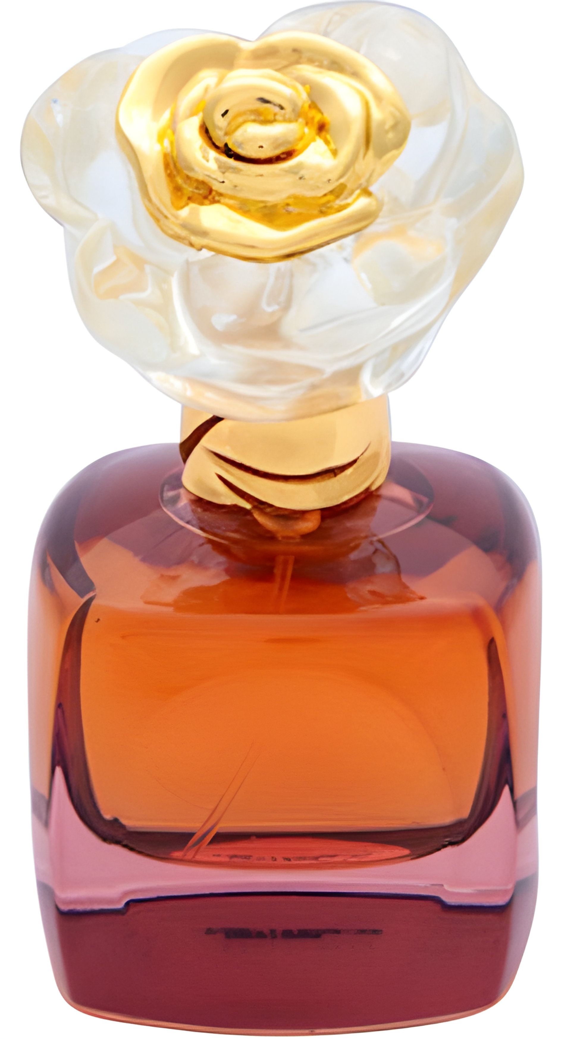 Picture of Strong Softness fragrance