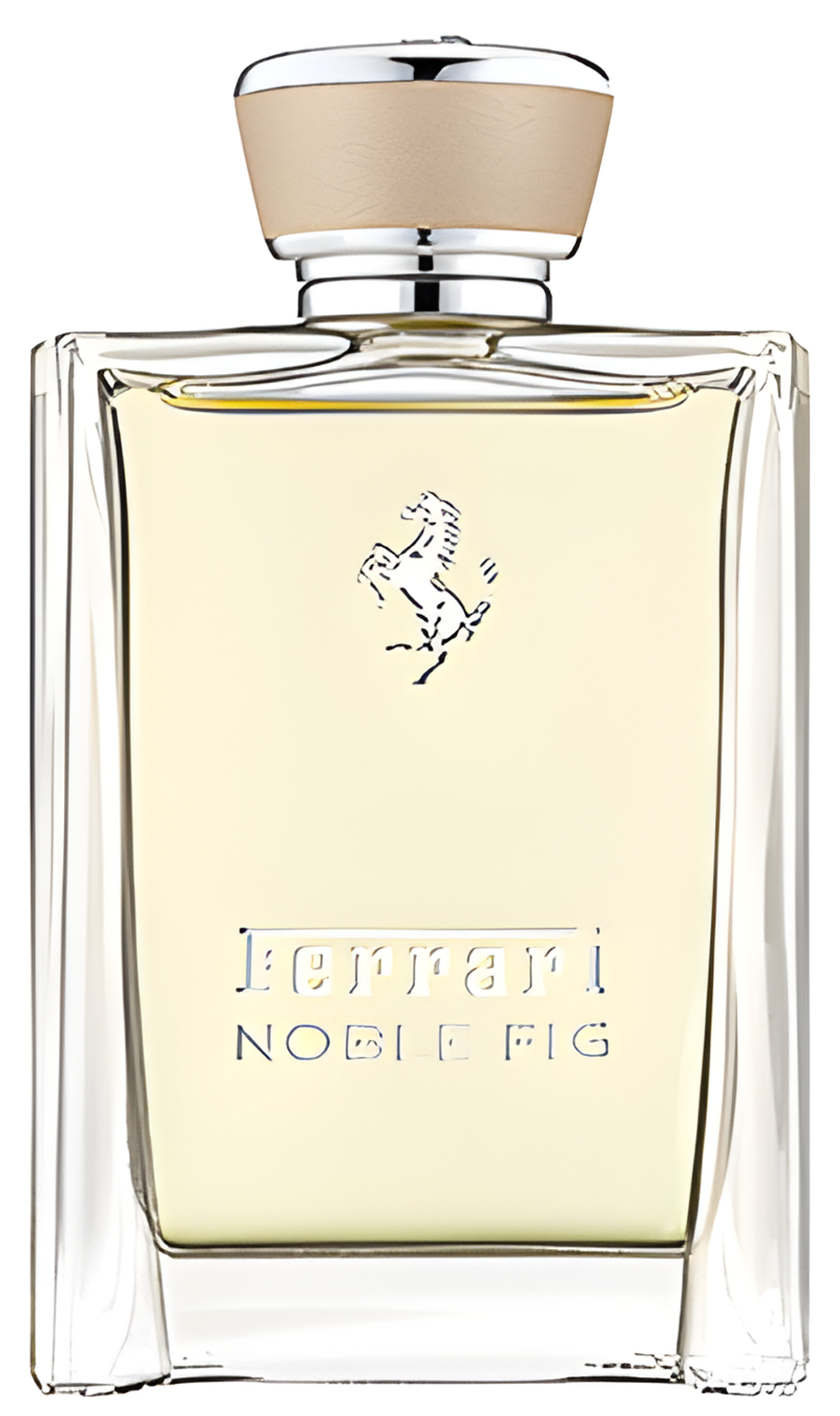 Picture of Noble Fig fragrance