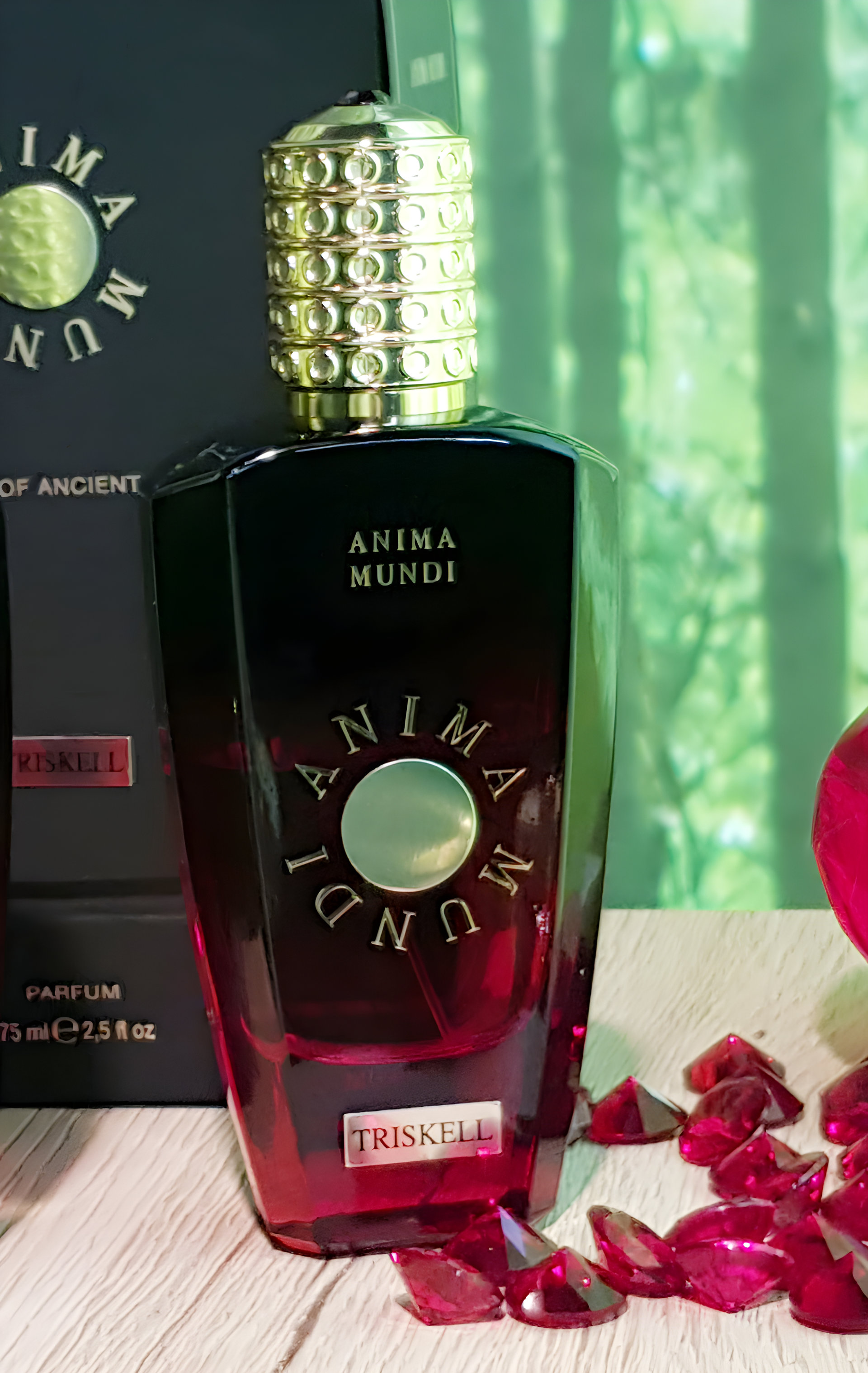 Picture of Triskell fragrance