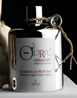 Laltrove 1001 by O'Driu perfume bottle