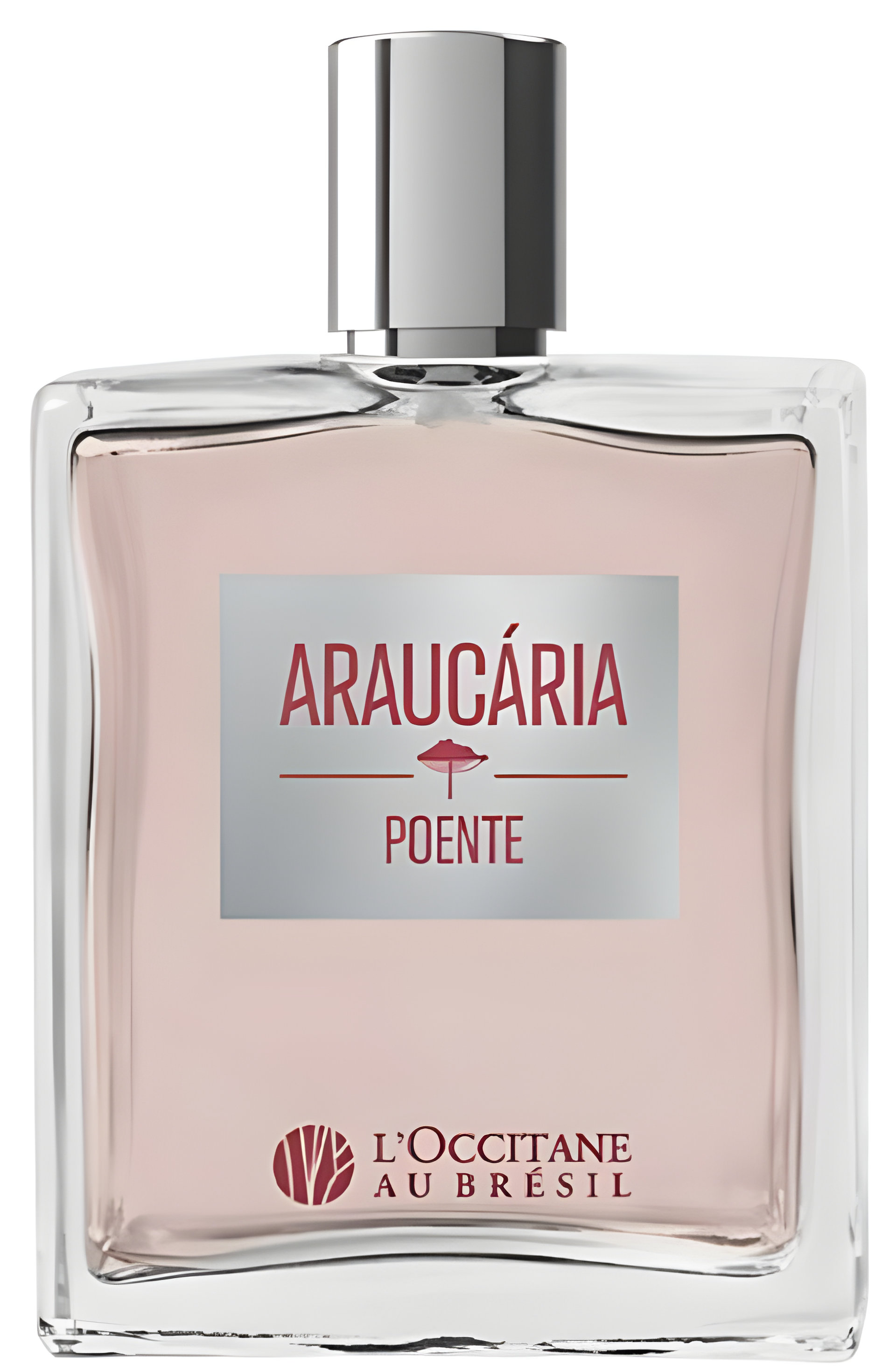 Picture of Araucária Poente fragrance