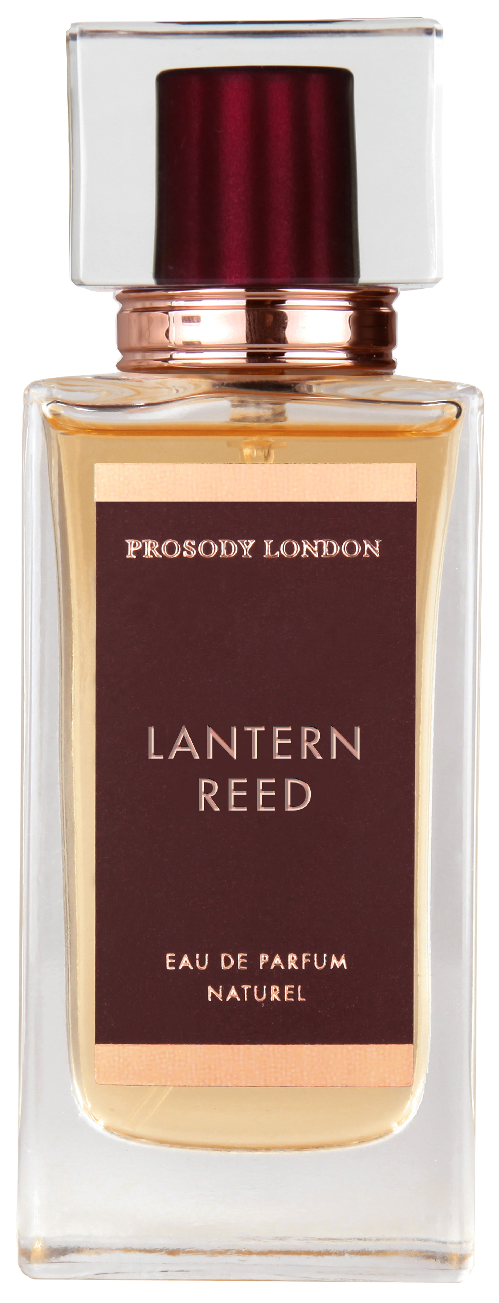 Picture of Lantern Reed fragrance