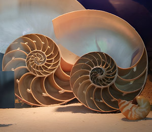 Goddess by Bud Parfums perfume bottle