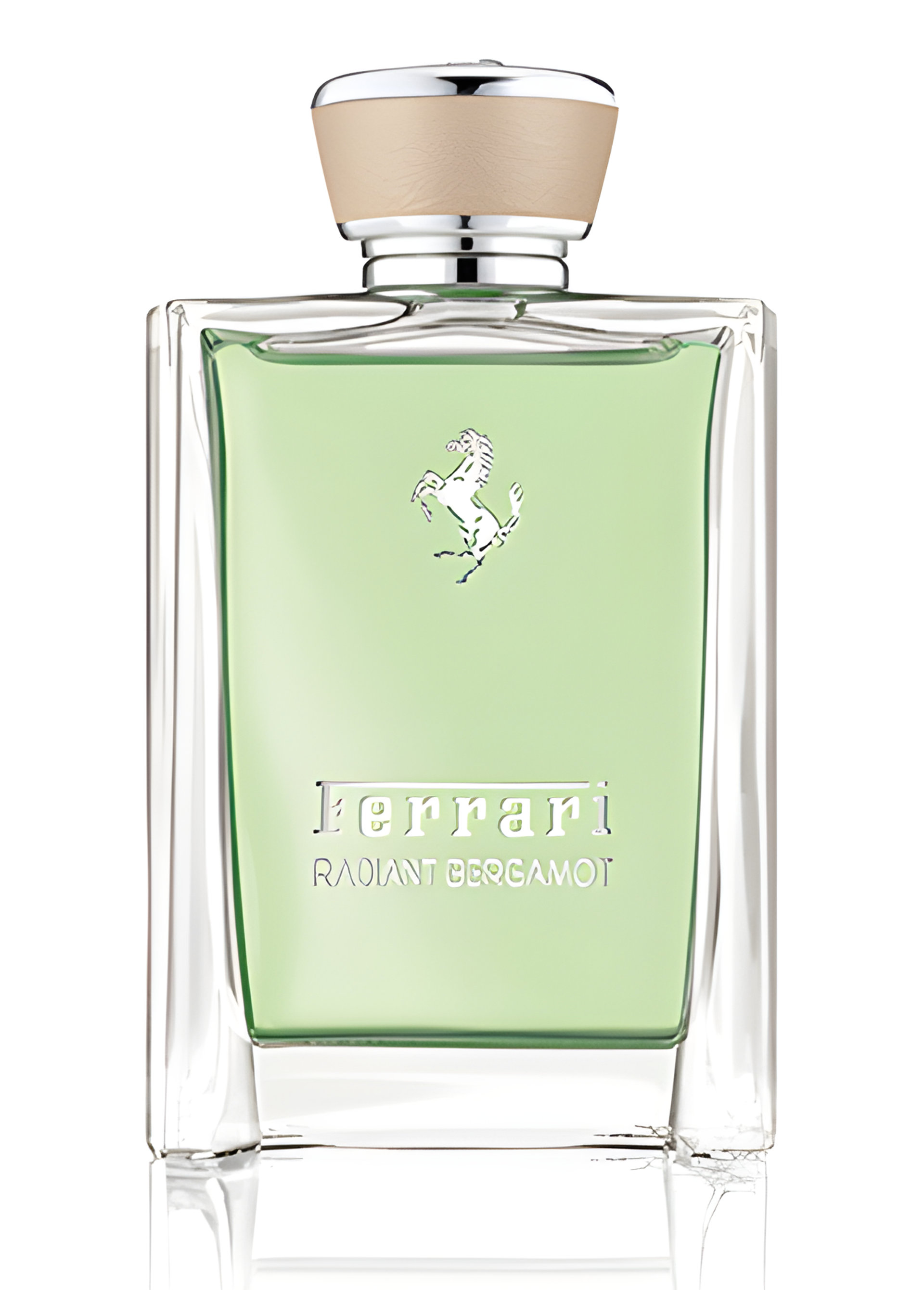 Picture of Radiant Bergamot fragrance