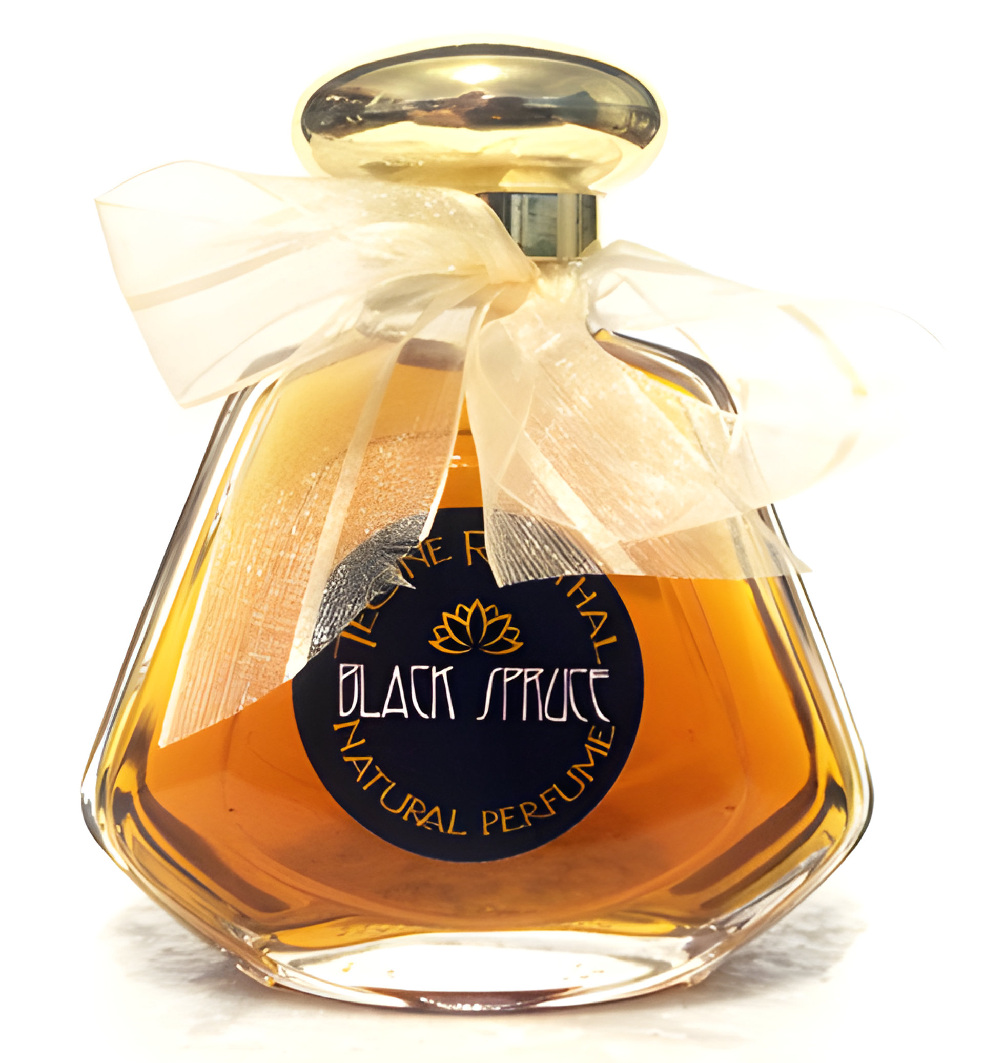 Picture of Black Spruce fragrance