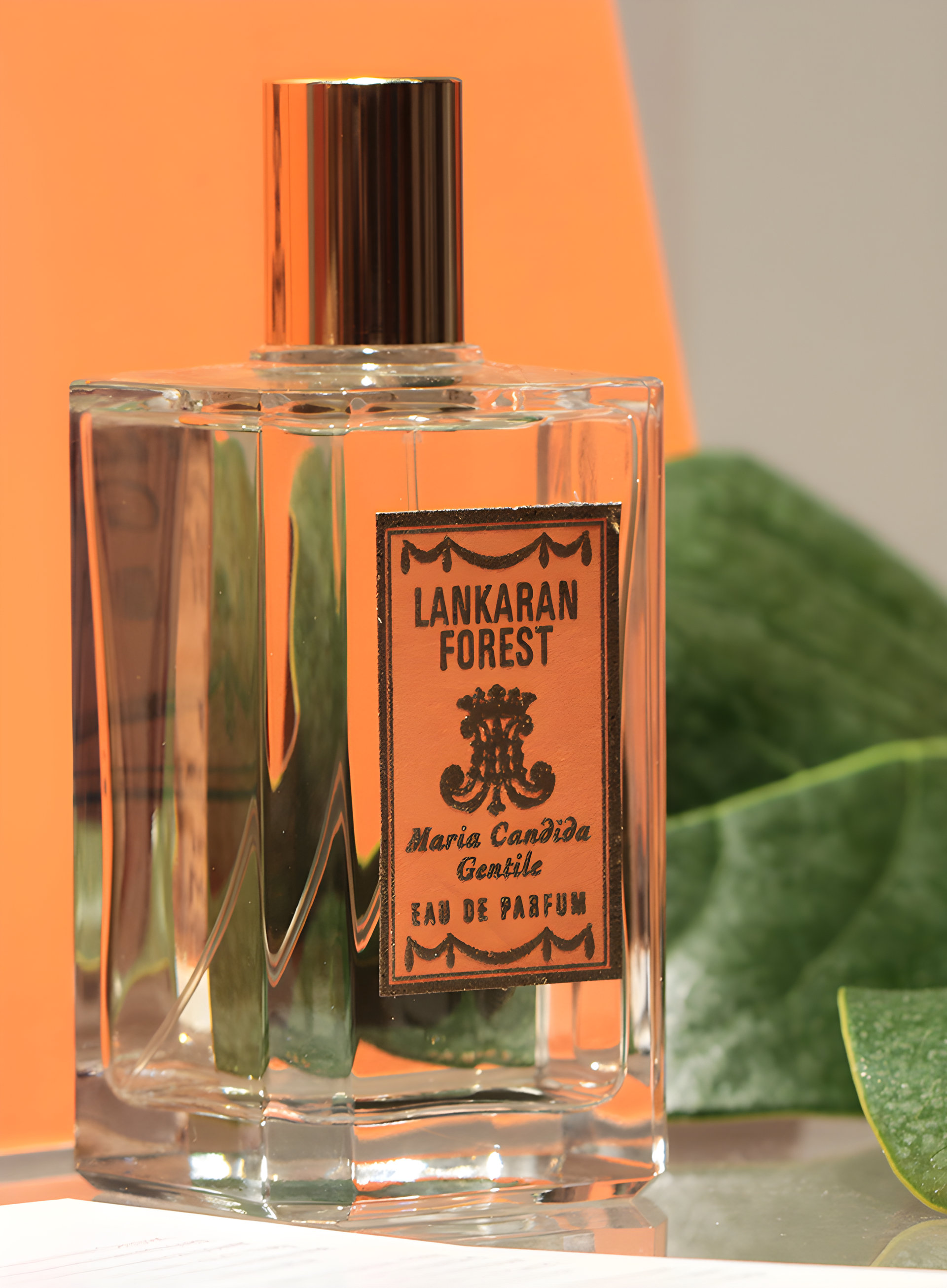 Picture of Lankaran Forest fragrance