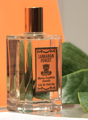 Lankaran Forest by Maria Candida Gentile perfume bottle