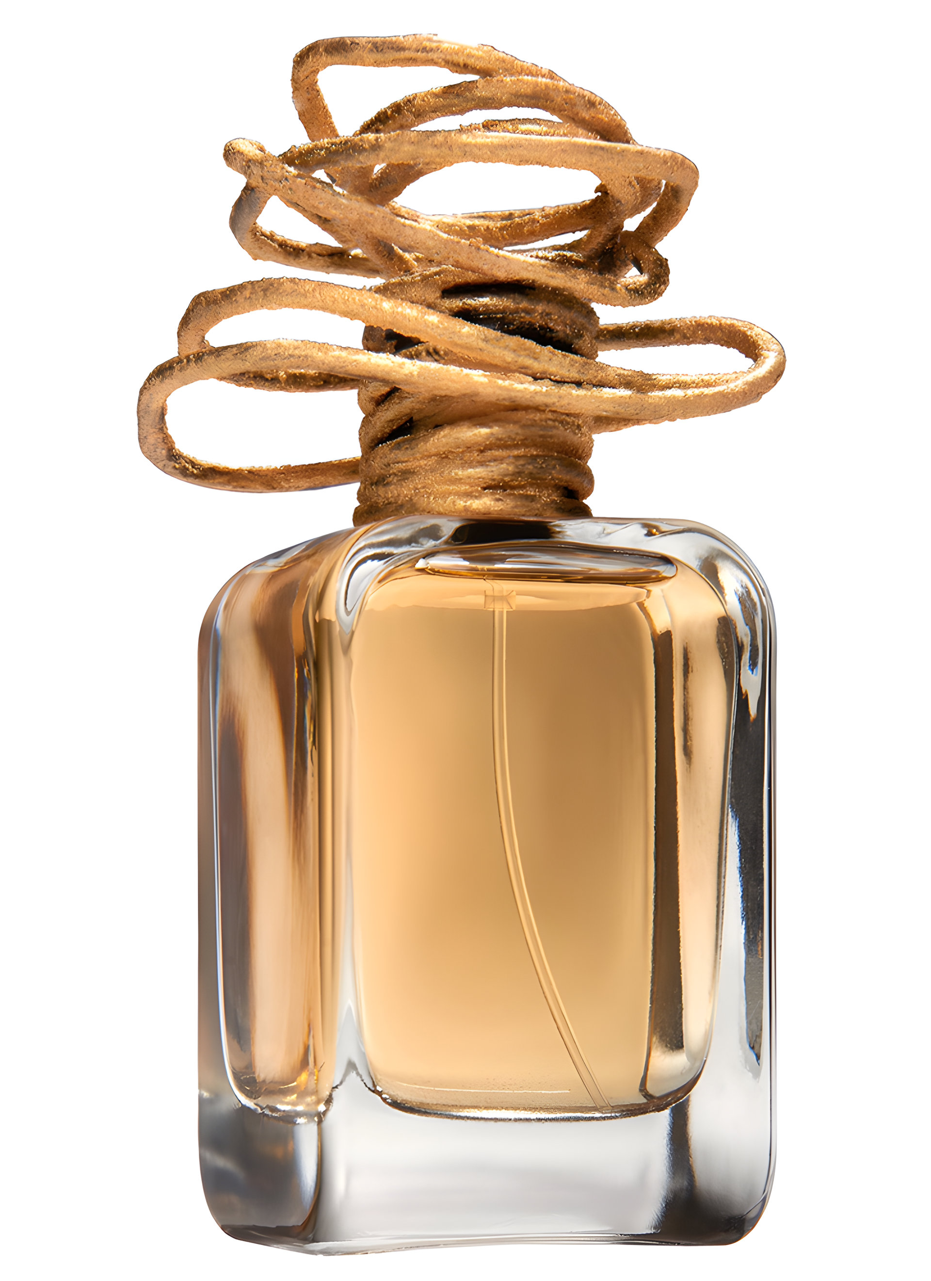 Picture of Rituale fragrance