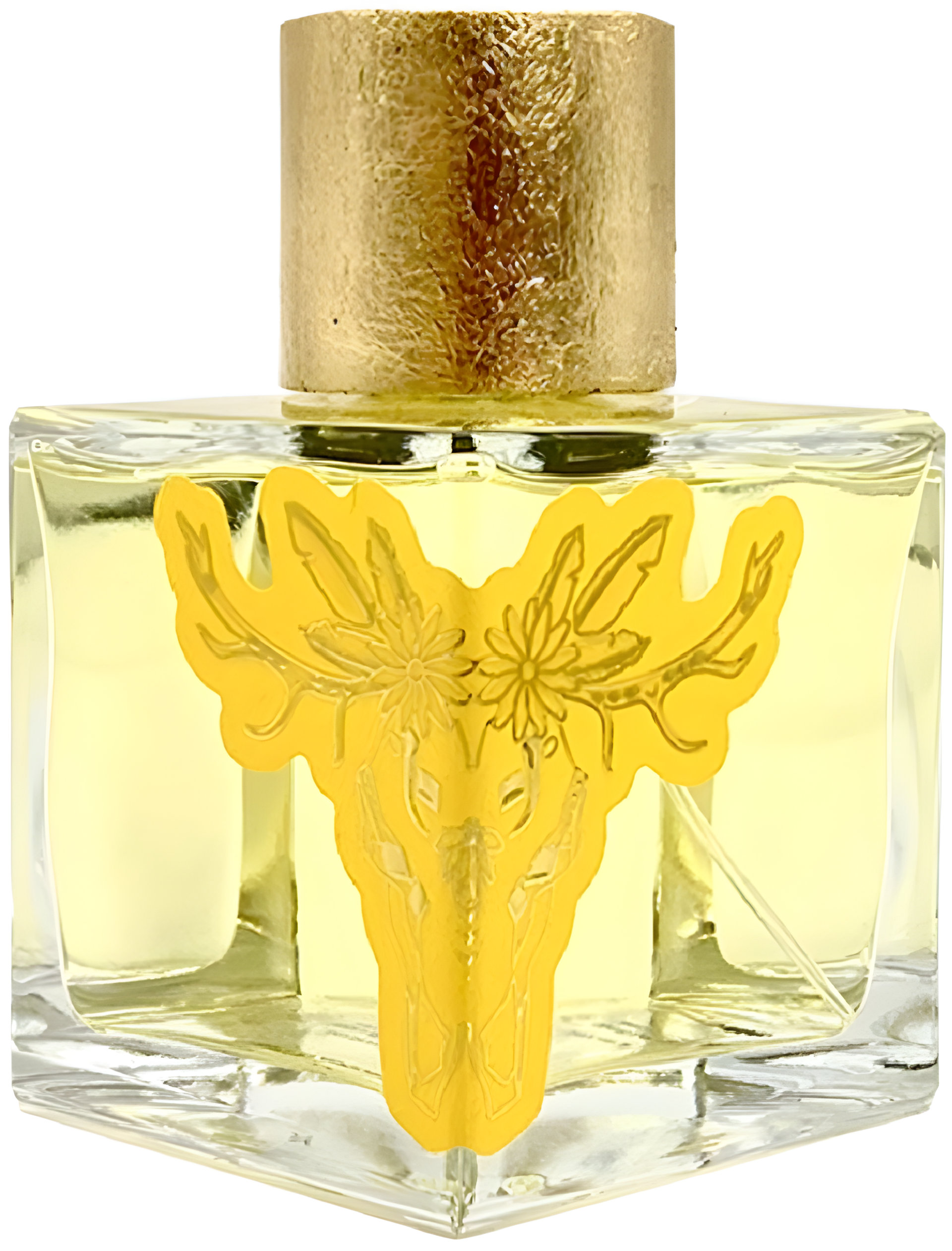 Picture of Spring in August fragrance