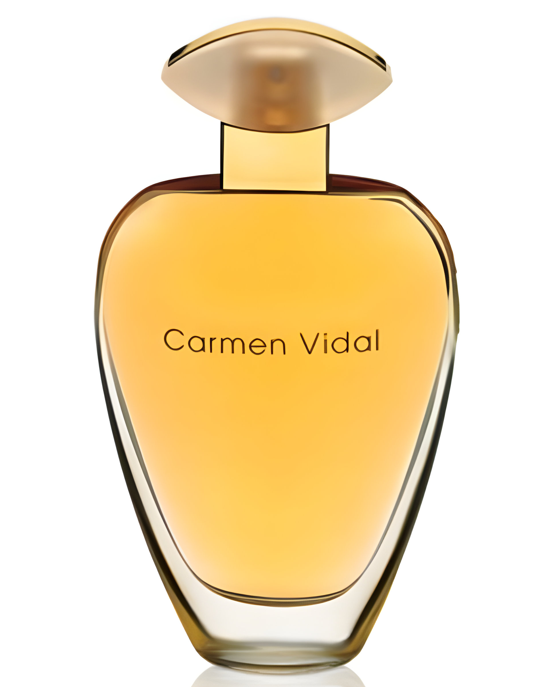 Picture of Carmen Vidal Eau de Toilette fragrance