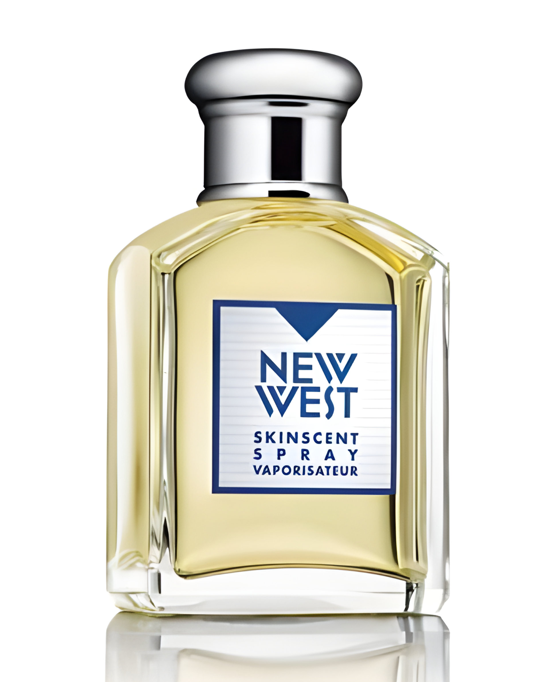 Picture of New West for Him fragrance