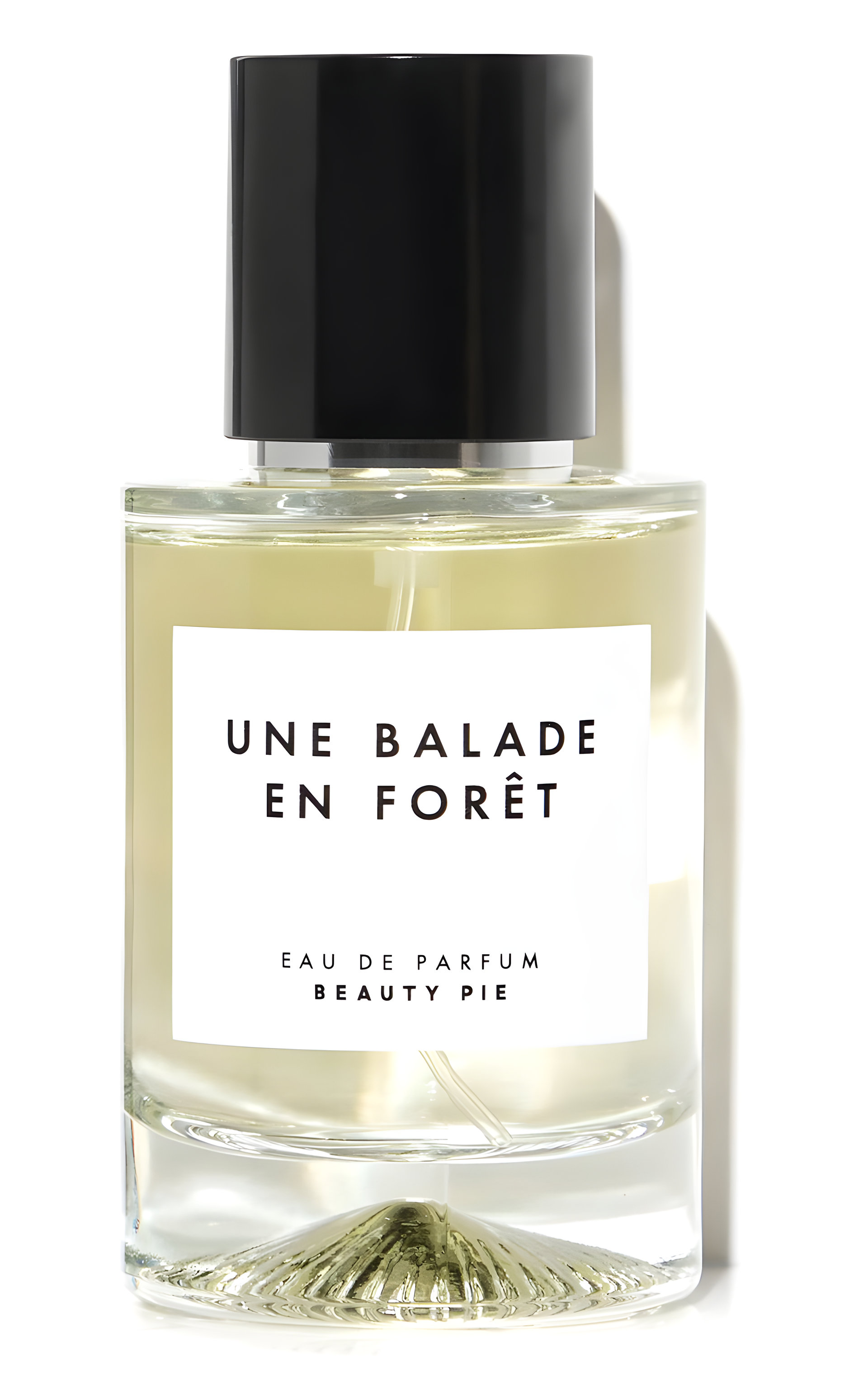 Picture of Une Balade en forêt fragrance