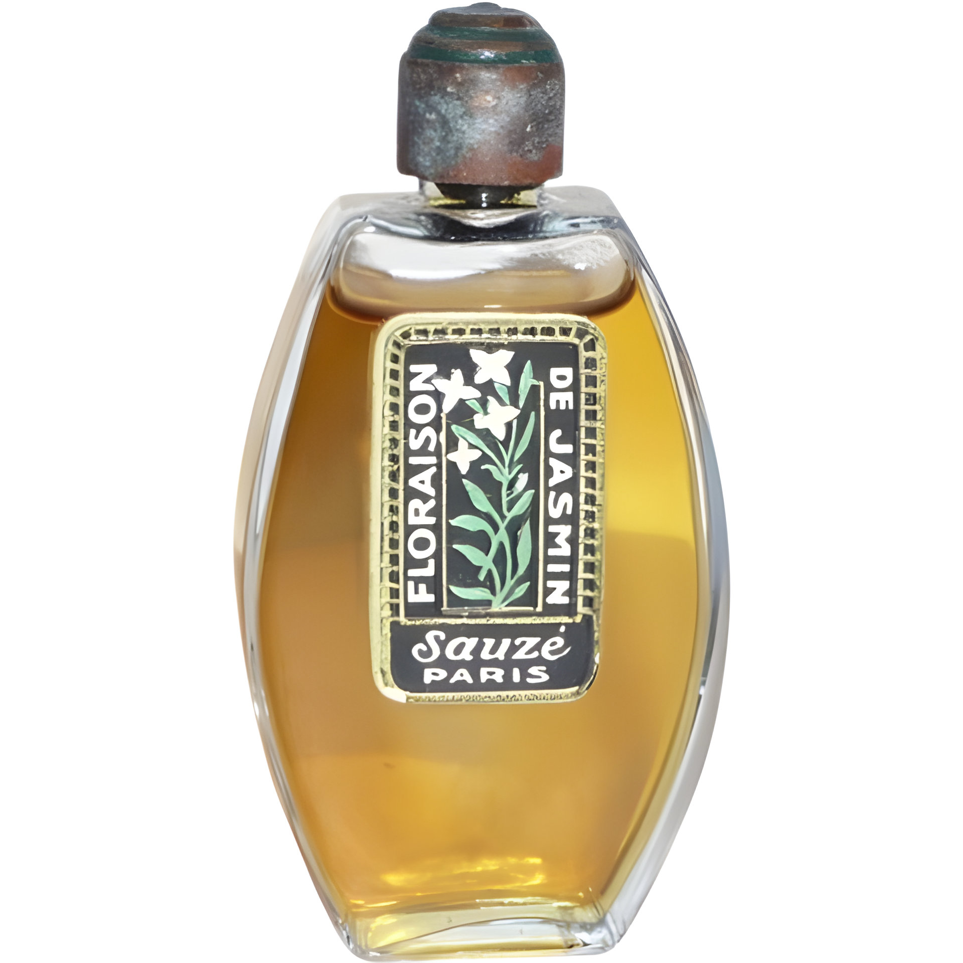 Floraison de Jasmin by Sauzé