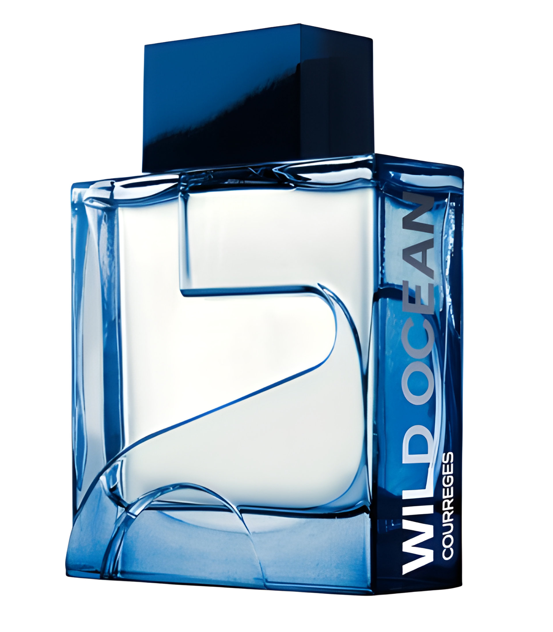 Picture of Wild Ocean fragrance